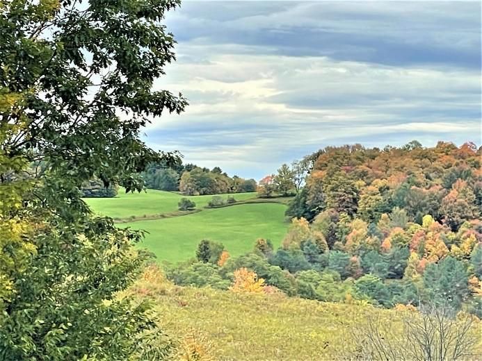 31.38 Acres, Lot 9 County Road 12, New Lisbon, NY 13796 Land and Farm