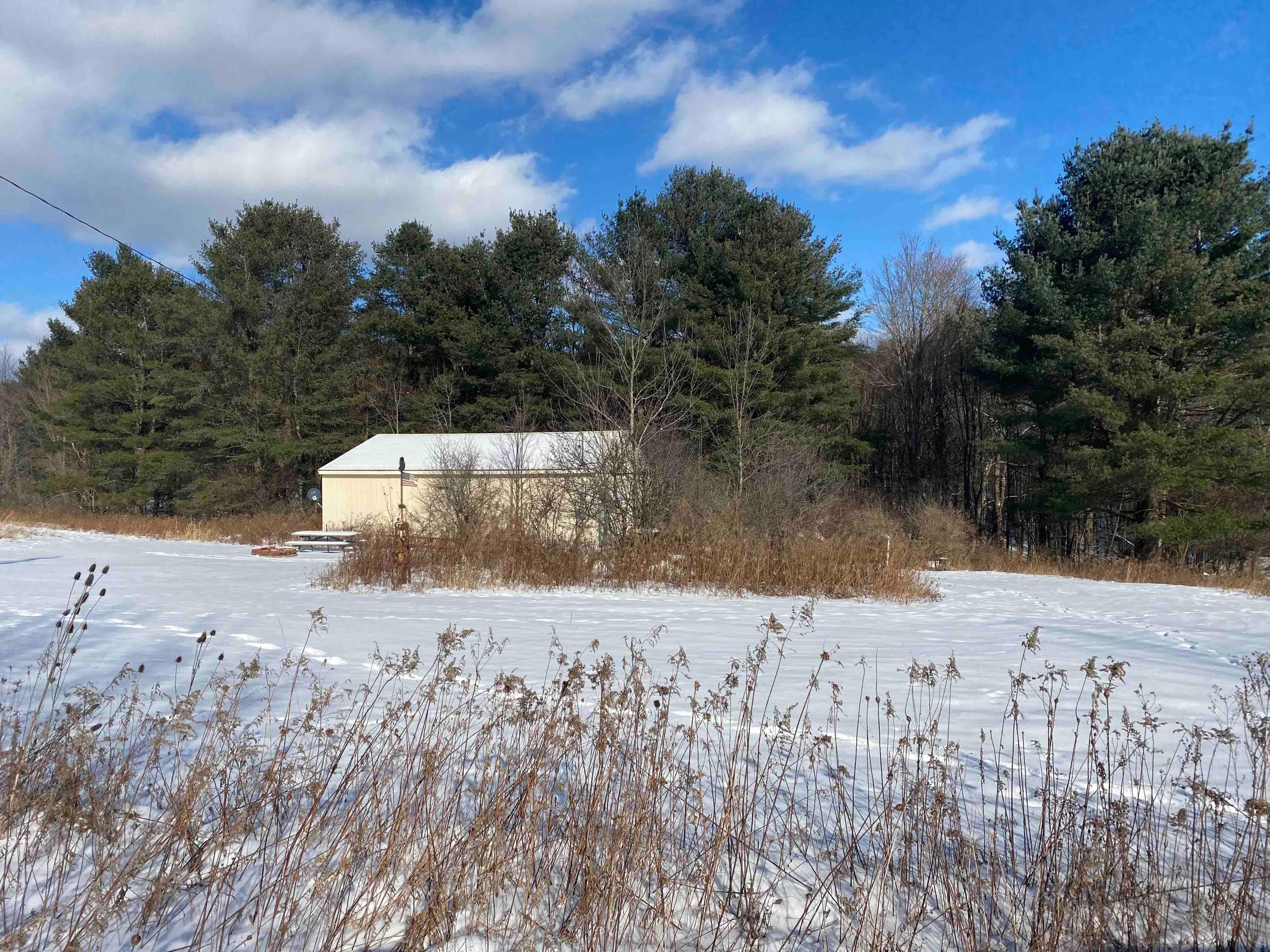 25.56 Acres, 2500 Perkins Road, Andover, NY 14806 Land and Farm