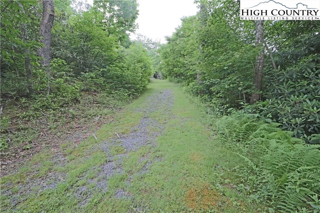 Tbd Rhodo 69 Lane, Boone, NC 28607 MLS 241366 Land and Farm
