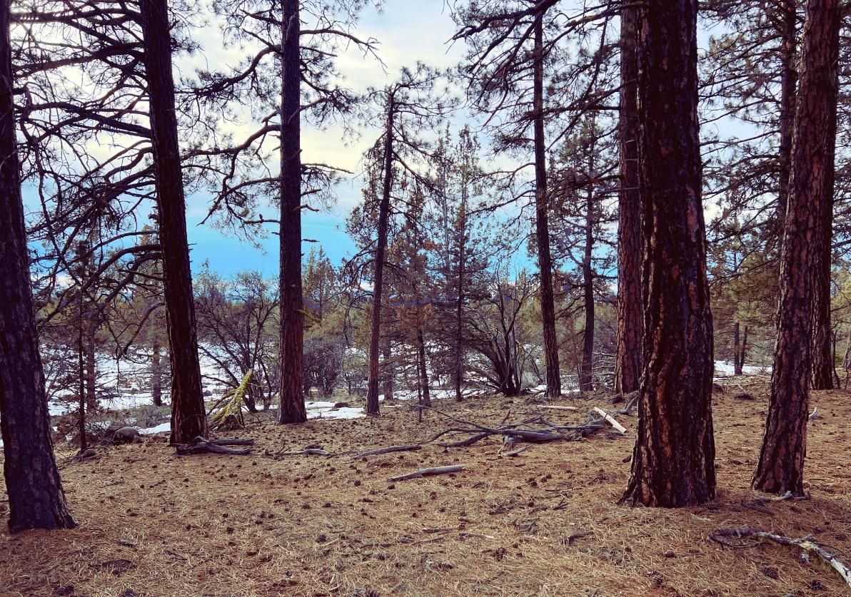 2.28 Acres, Cardinal Dr, Bonanza, OR 97623 Land and Farm