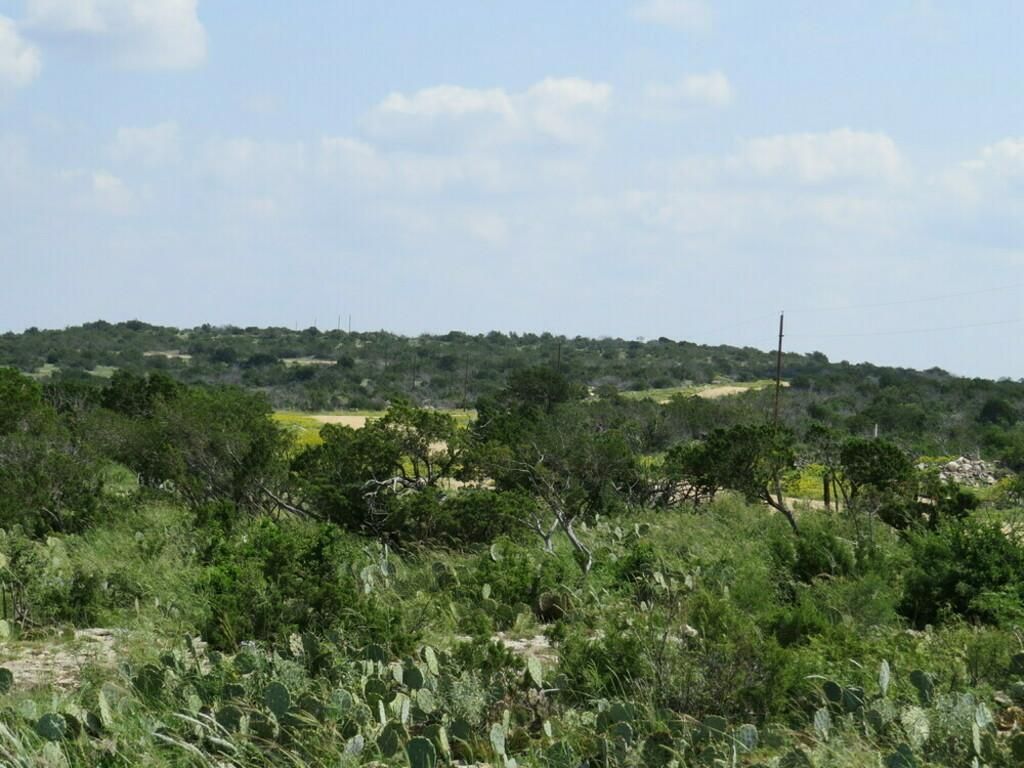 56.36 Acres, Juno, TX 78840 Land and Farm