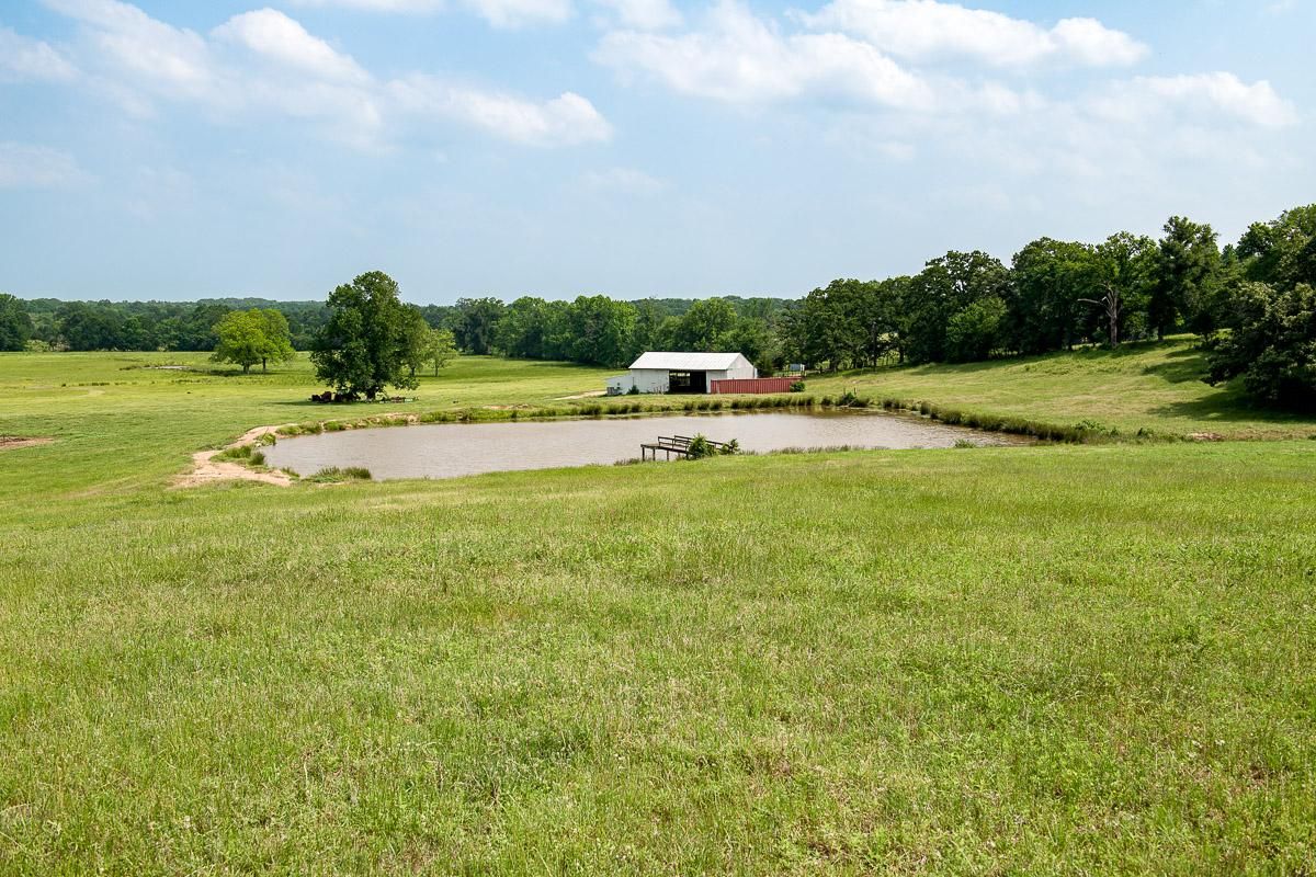 100 Acres, County Road 1107, Edgewood, TX 75117 Land and Farm