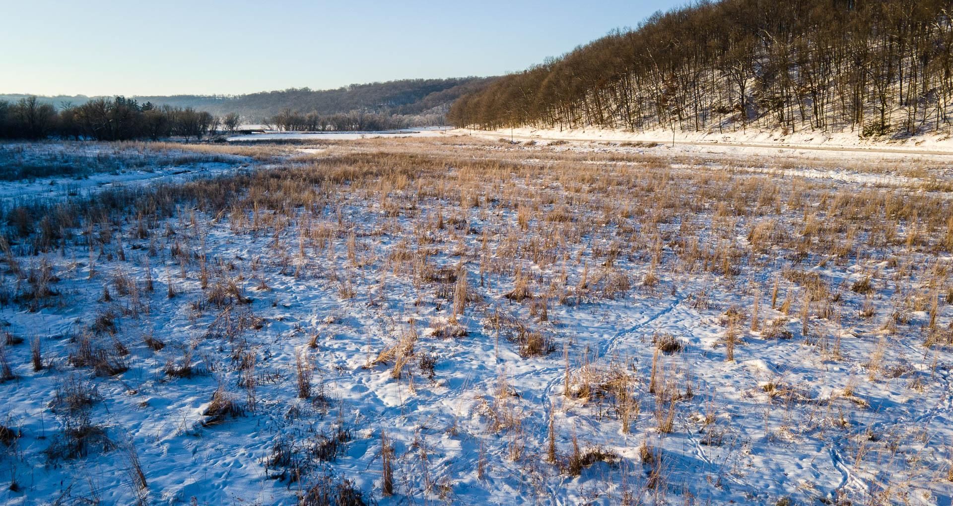 22 Acres, Maple Rd, Luana, IA 52156 Land and Farm