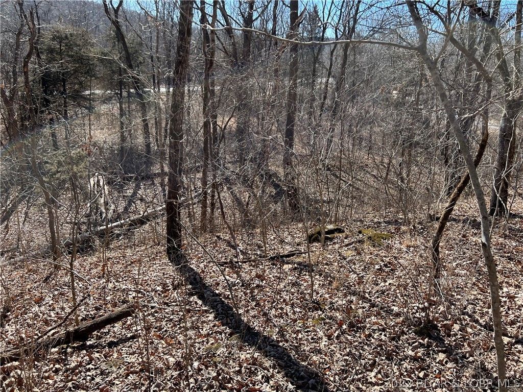 6 Acres, Tbd b Road, Versailles, MO 65084 Land and Farm