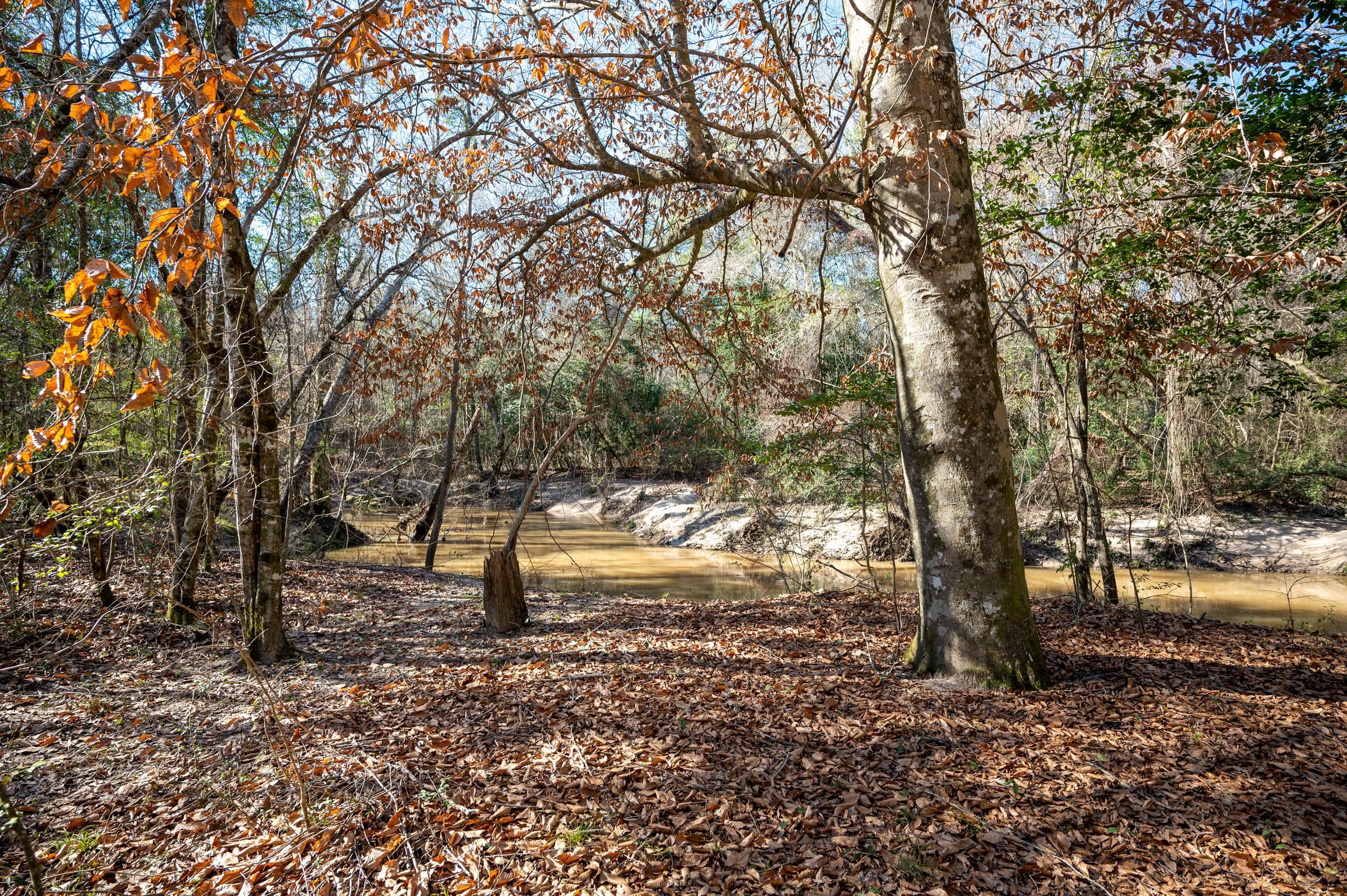County Road 4494, Hillister, TX 77624 Land and Farm