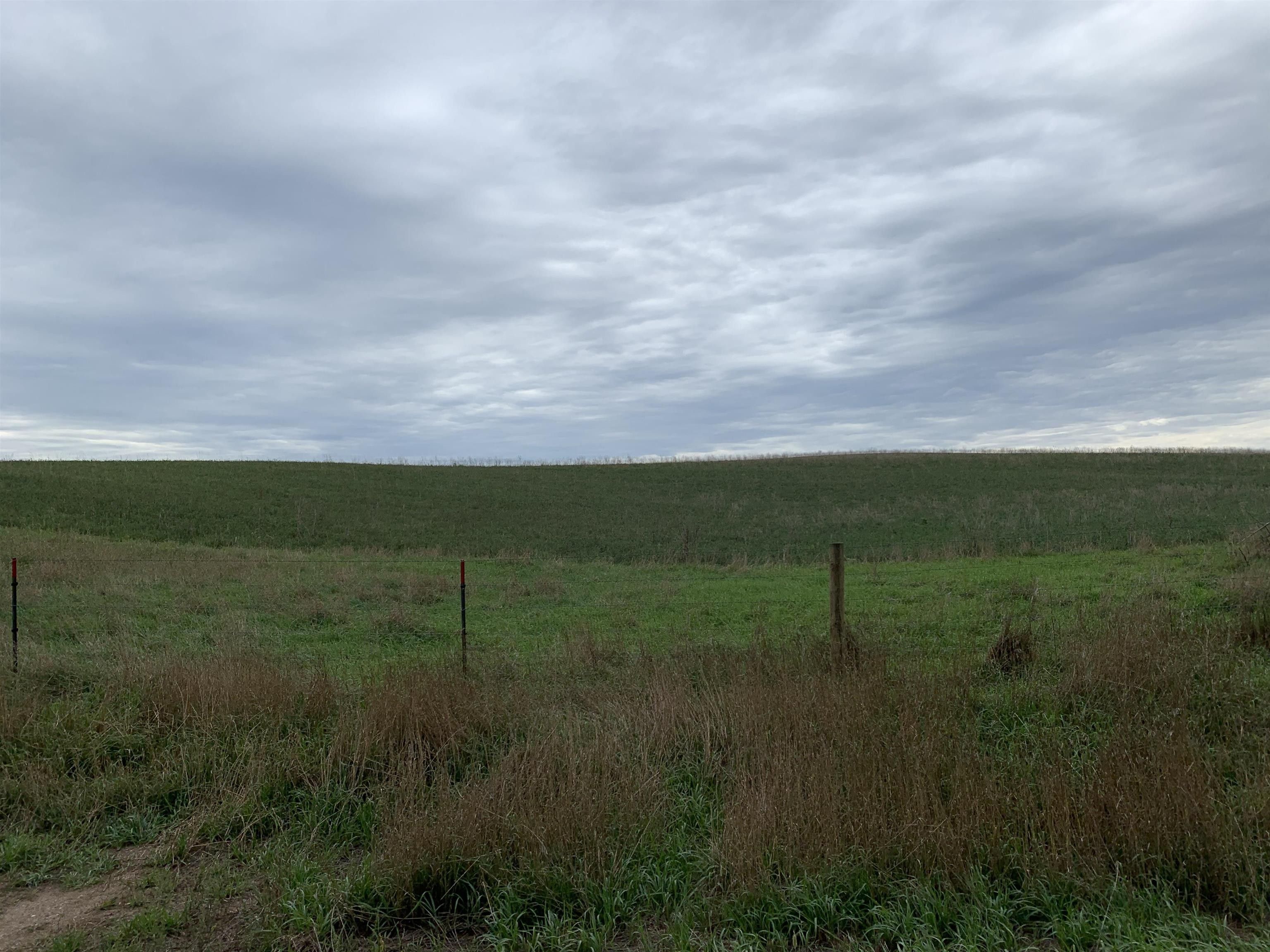 184.44 Acres, 000 457th ave, Volin, SD 57072 Land and Farm