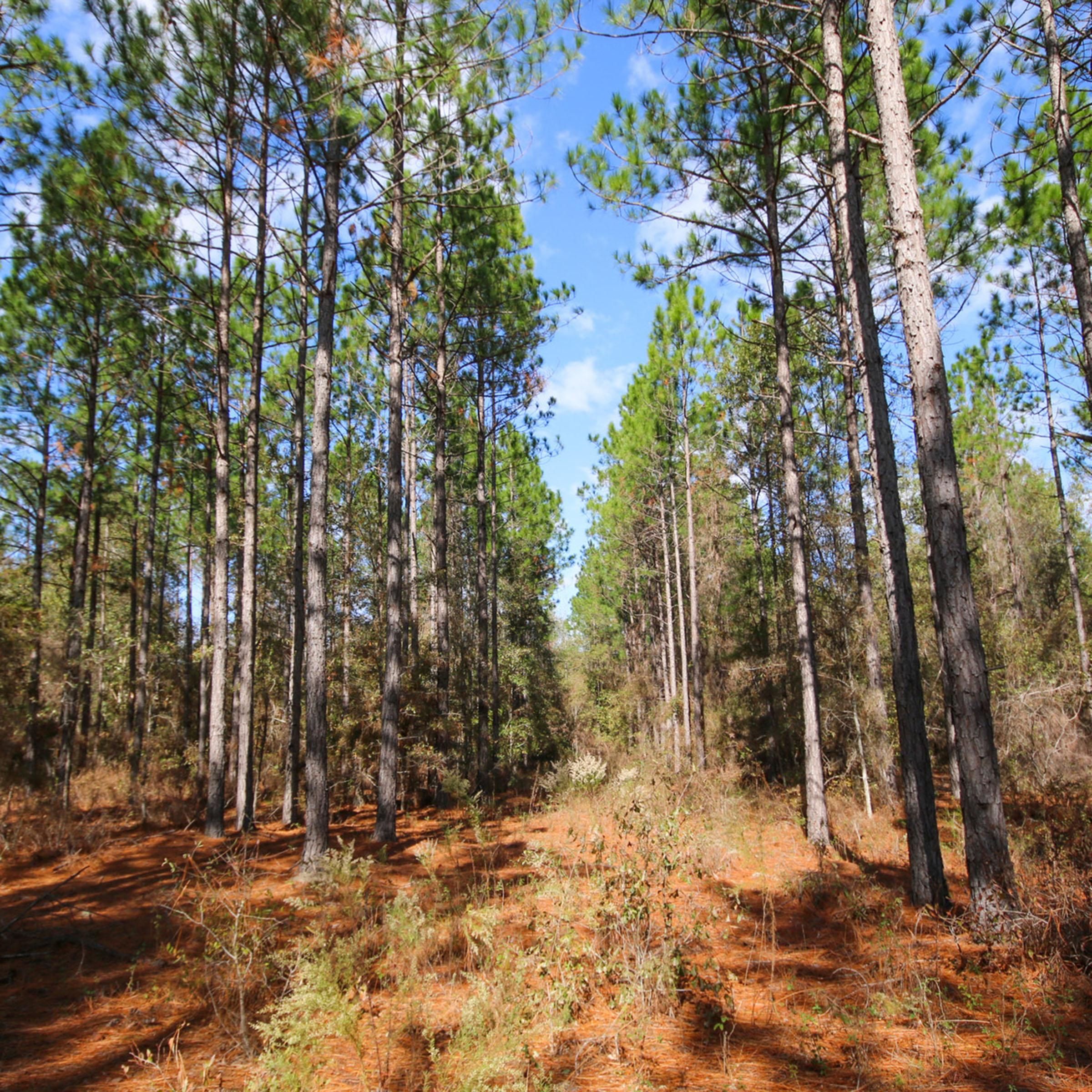 0 McRae Hwy, Eastman, GA 31023 Land and Farm