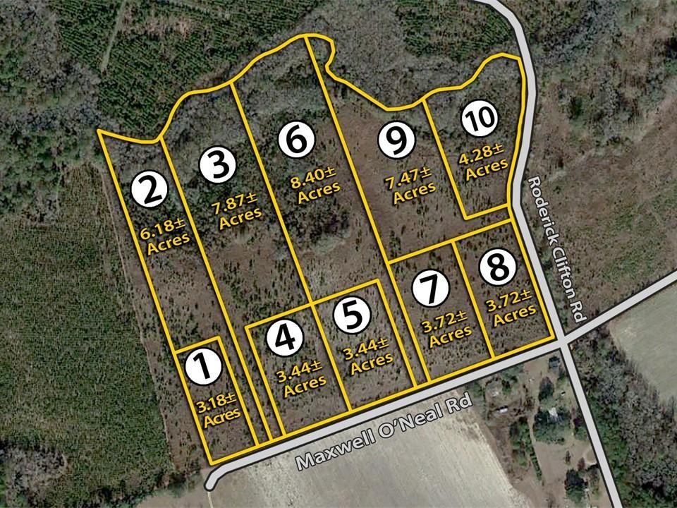 51 Acres, Maxwell O'Neal Road, Lyons, GA 30436 Land and Farm
