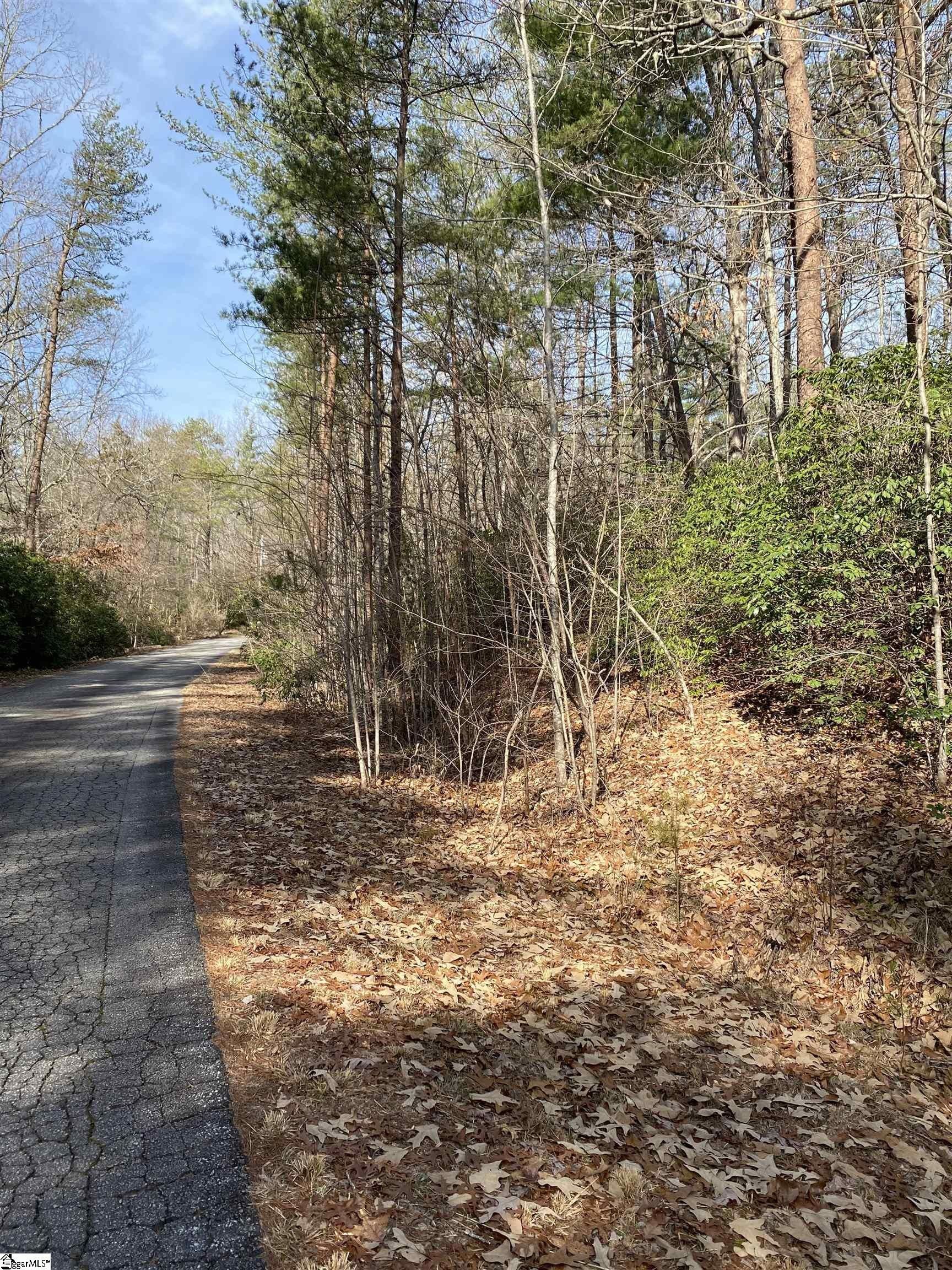 0.88 Acres, 326 Gauley Falls Road, Pickens, SC 29671 Land and Farm