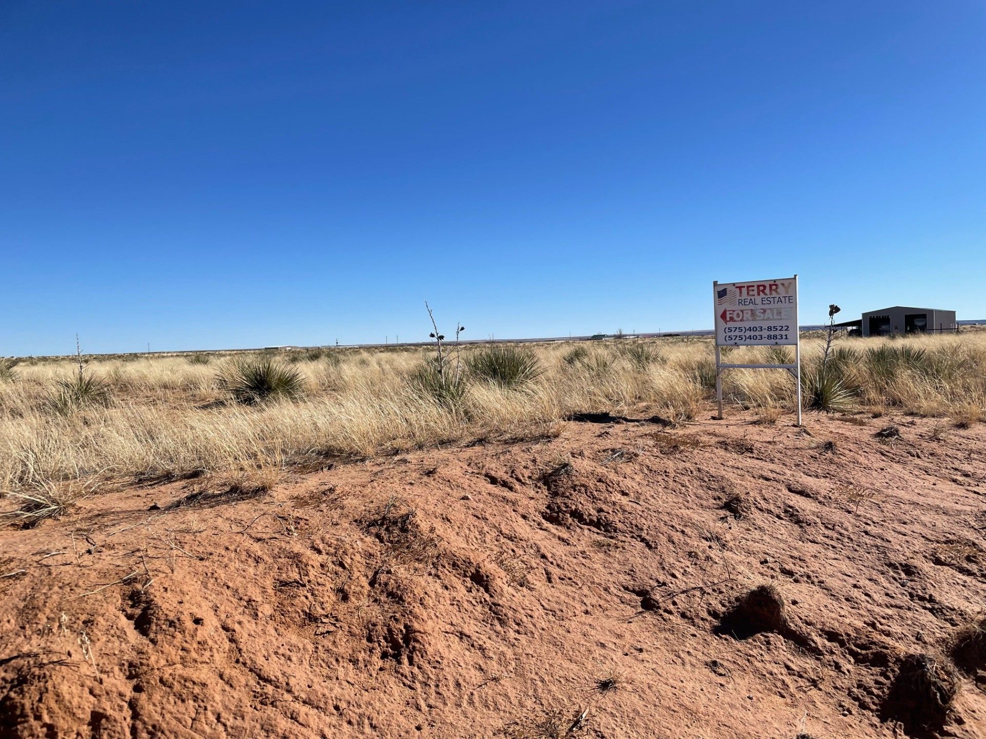 20 Acres, 7780 Quay Road Y, Logan, NM 88426 Land and Farm