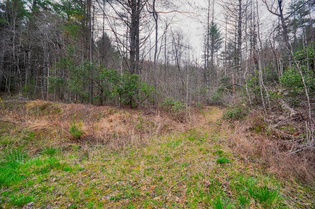 6.58 Acres, 0 Ebenezer Road, Murphy, NC 28906 Land and Farm