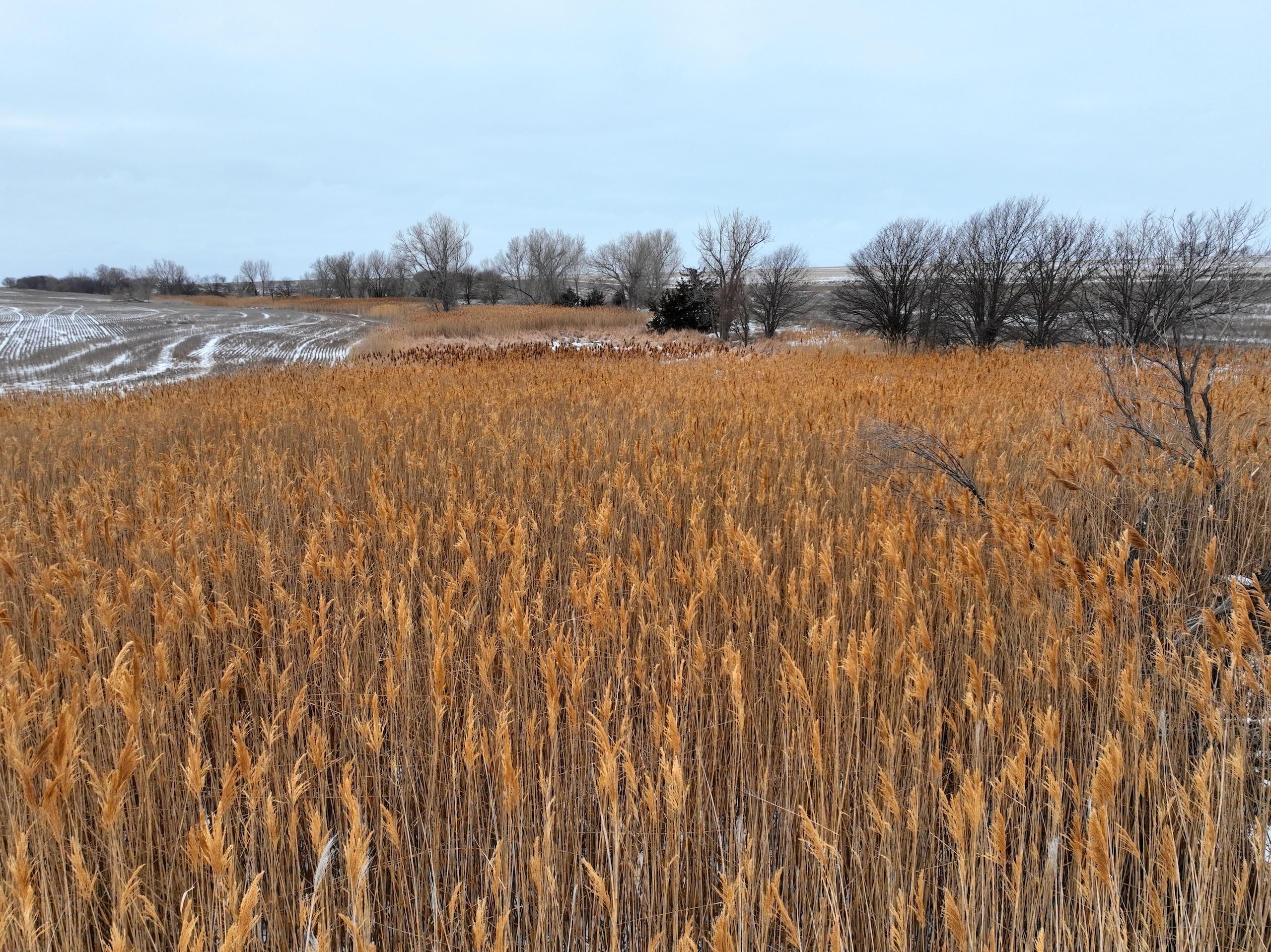 157.1 Acres, V Road, LotWP001, Plainville, KS 67663 Land and Farm