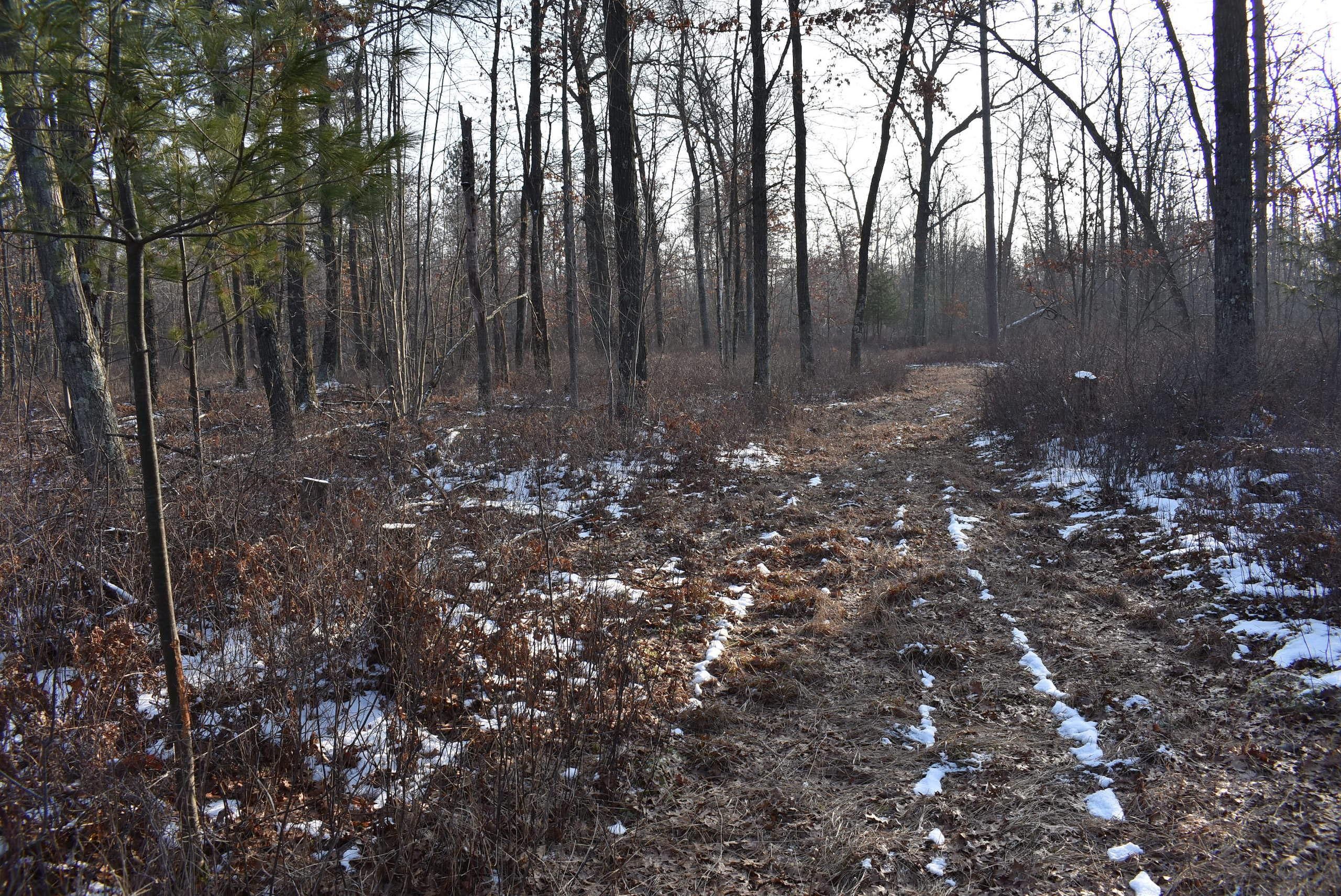Frog Pond Road, Oconto, WI 54153 Land and Farm