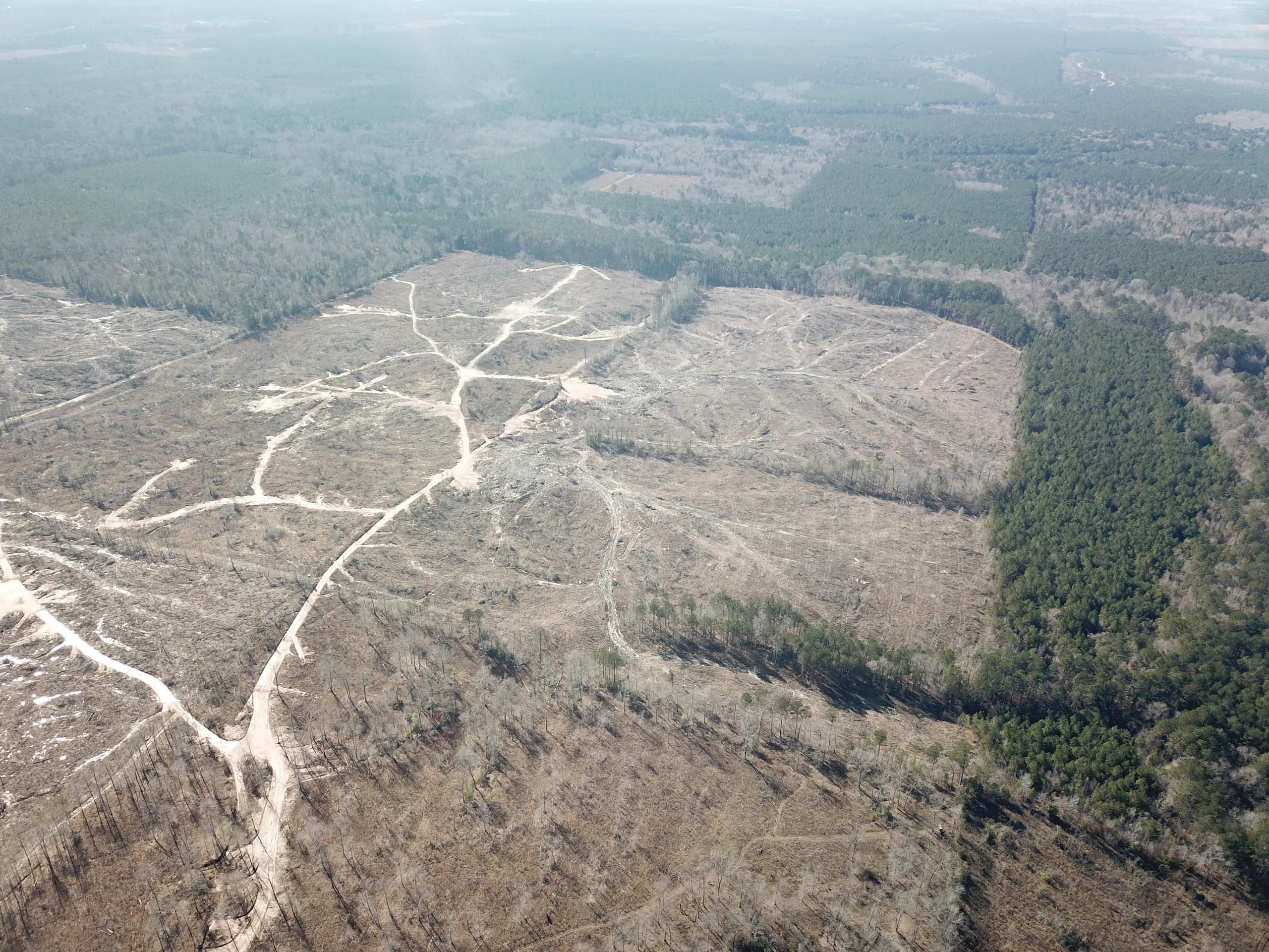 Mount Union Road Lot Wp001, Marion, LA 71260 Land and Farm