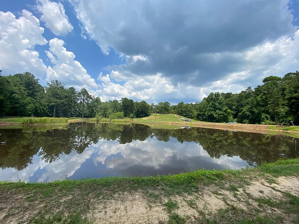 97 Acres, 601 County Road 31, Heidelberg, MS 39439 Land and Farm