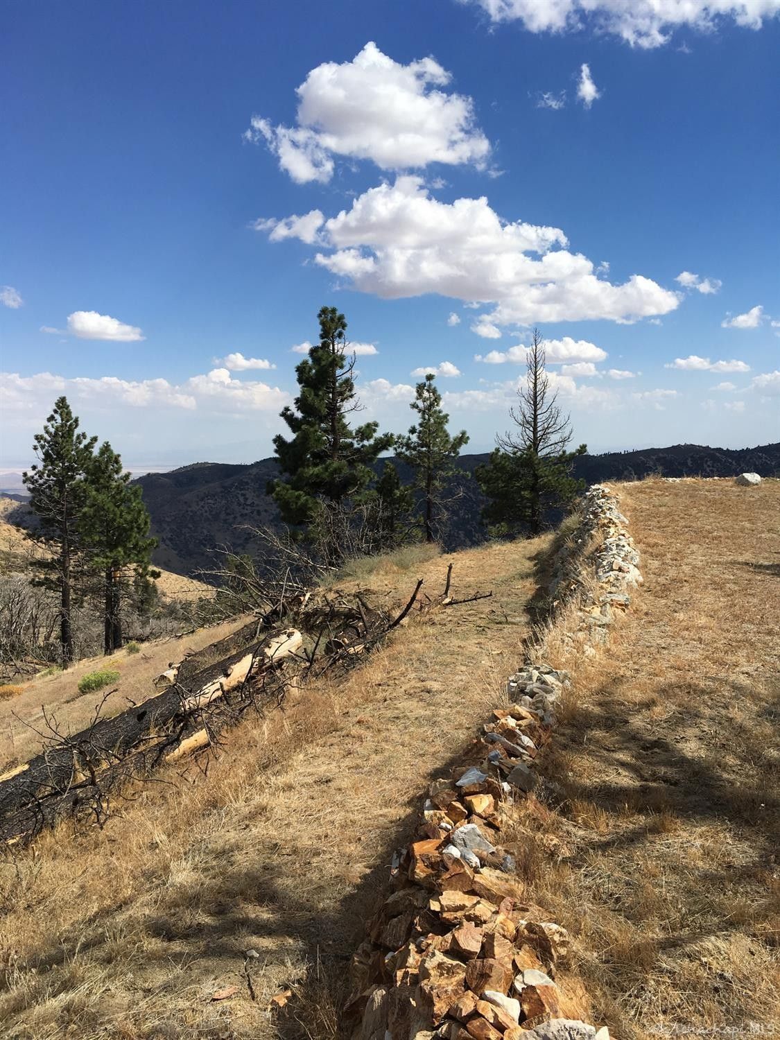 5 Acres, 0 Wild Horse Road, Tehachapi, CA 93561 Land and Farm