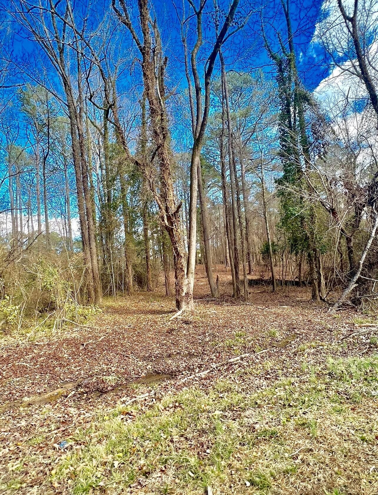 23 Acres, COLUMBUS STREET WEST, Fayette, AL 35555 Land and Farm