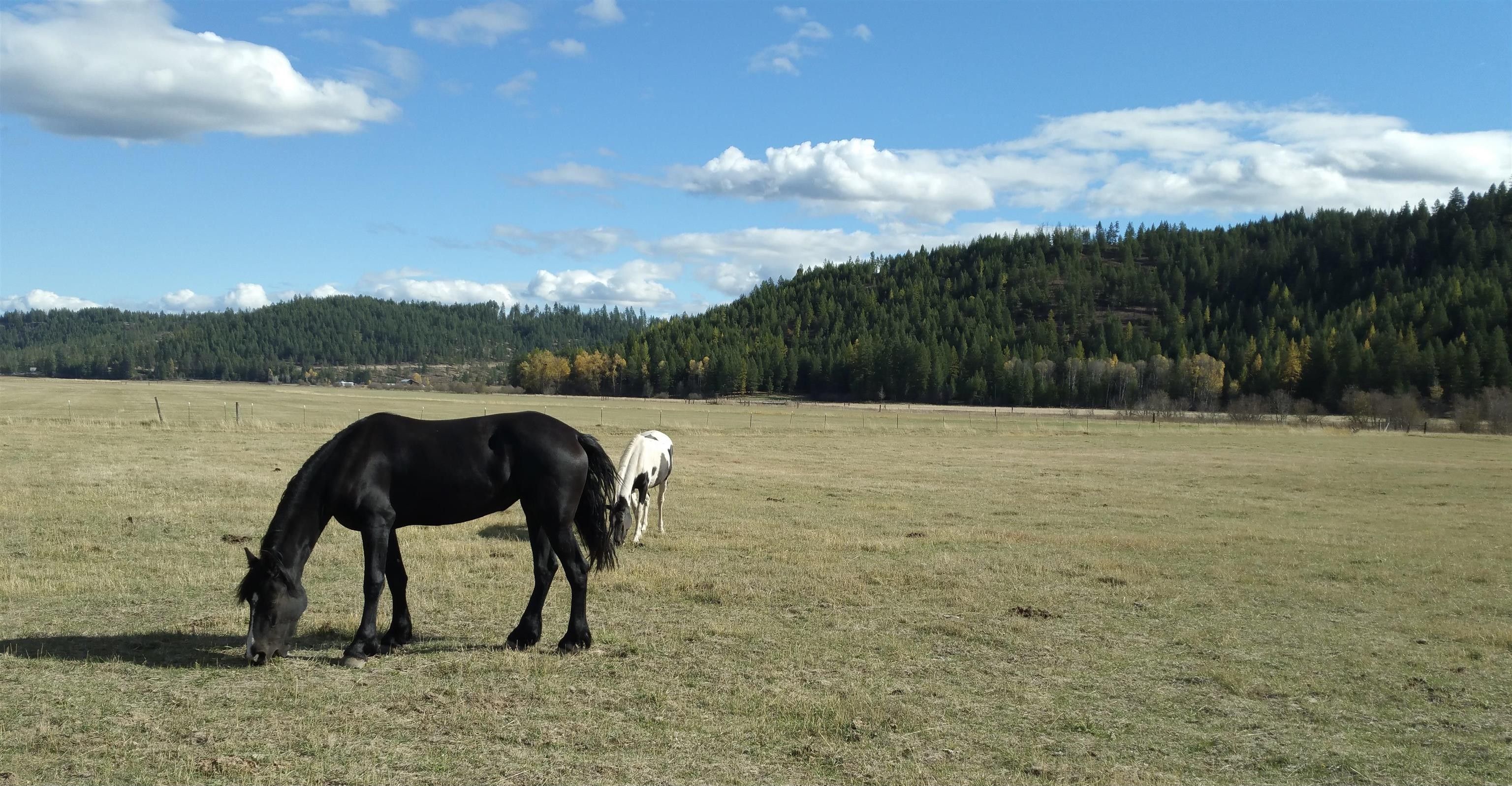 23.11 Acres, Xxxx Springdale Hunters, Springdale, WA 99173 Land and Farm