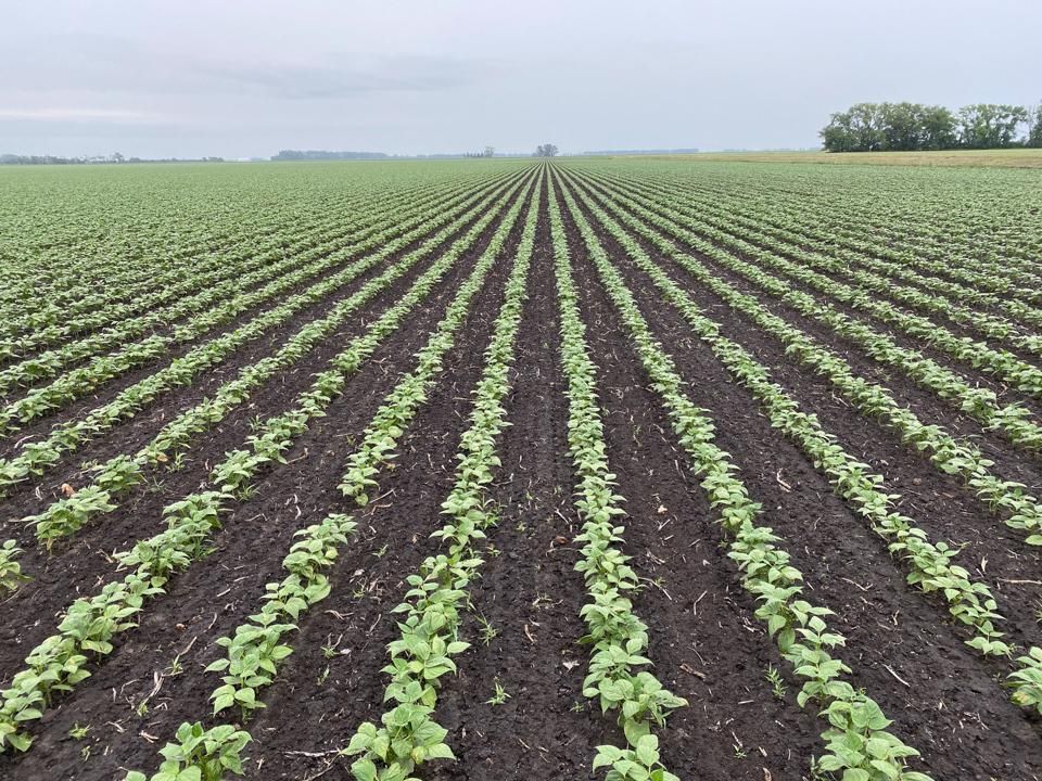 160 Acres, Hoople, ND 58243 Land and Farm