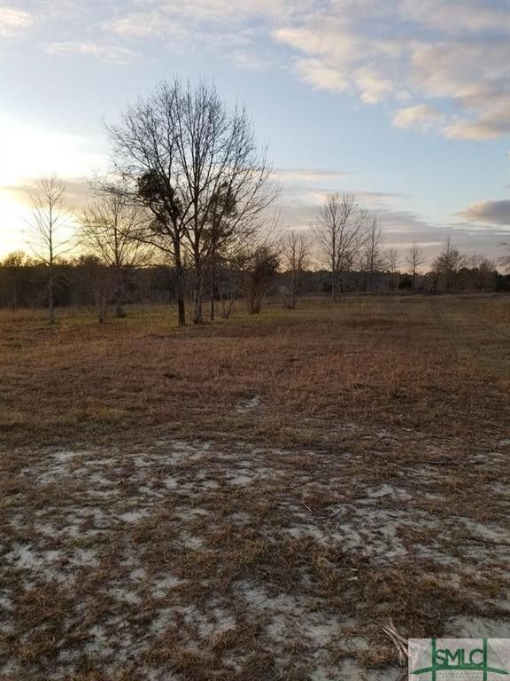 42 Acres, 0 Reedy Creek Other, Ailey, GA 30410 Land and Farm
