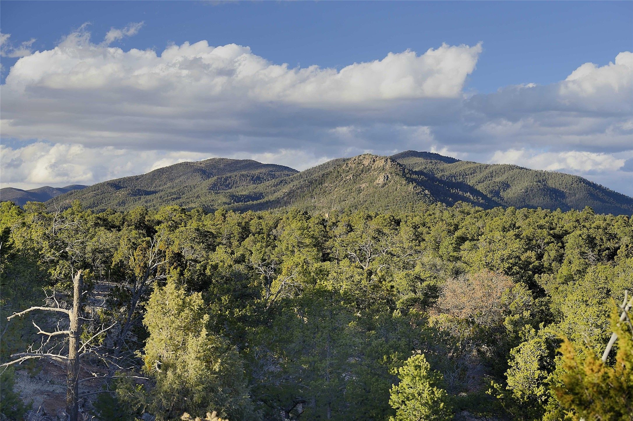 261.16 Acres, 0 Apache Ridge Rd Lot 4, Santa Fe, NM 87505 Land and Farm