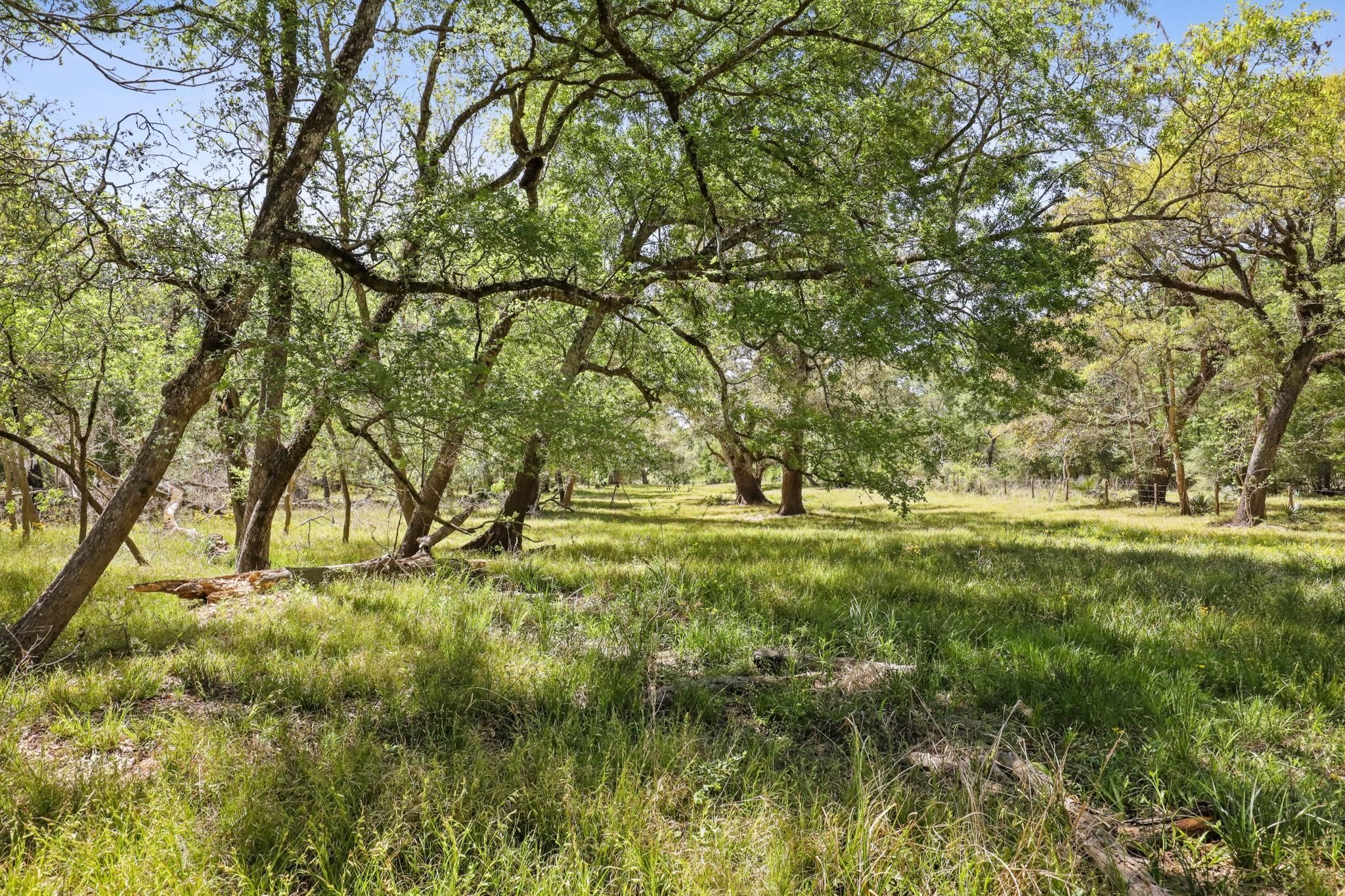 124.2 Acres, Rycade School Road, Damon, TX 77430 Land and Farm