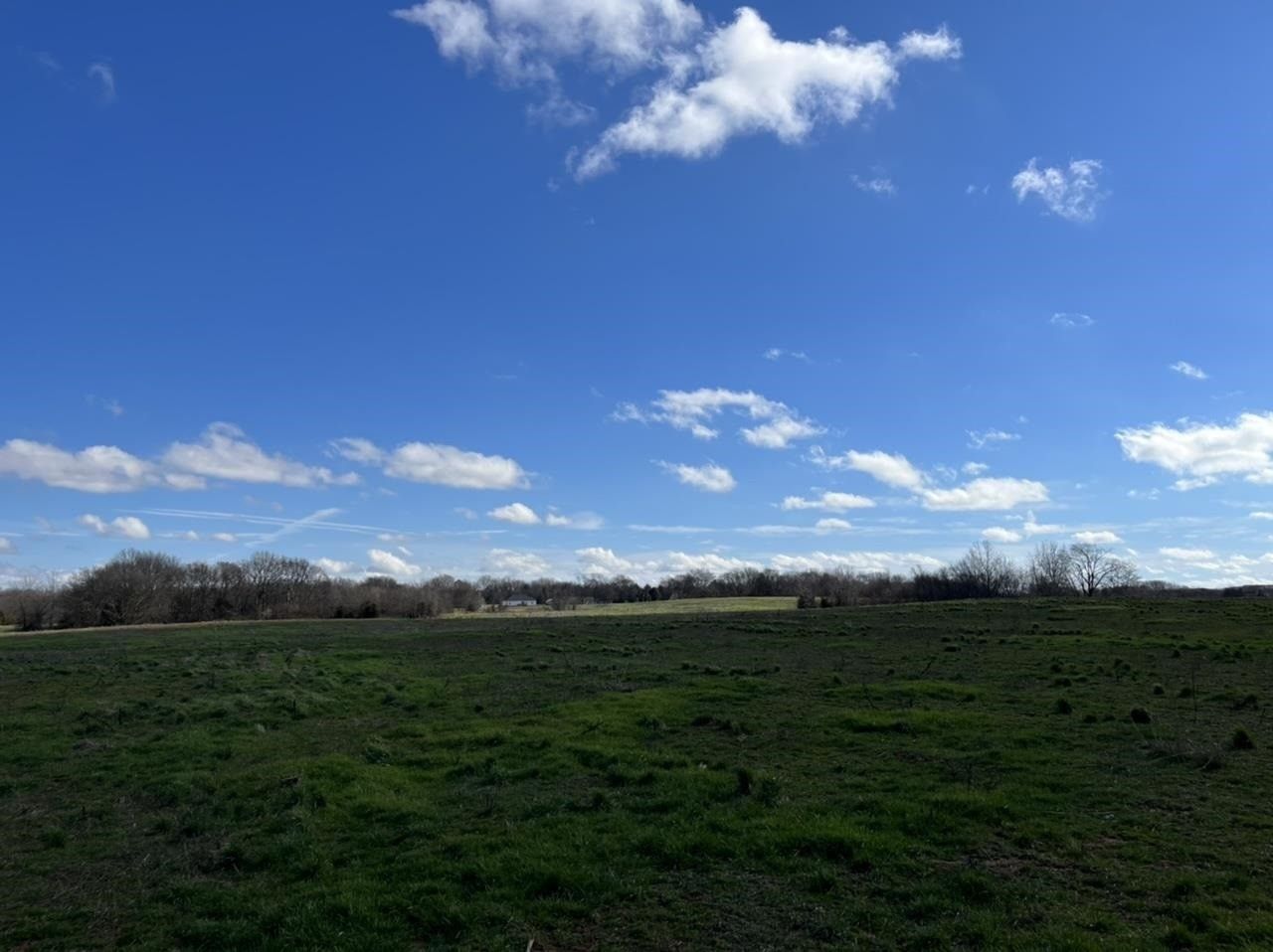 63.62 Acres, 0 Perry Martin Road, Woodburn, KY 42170 Land and Farm