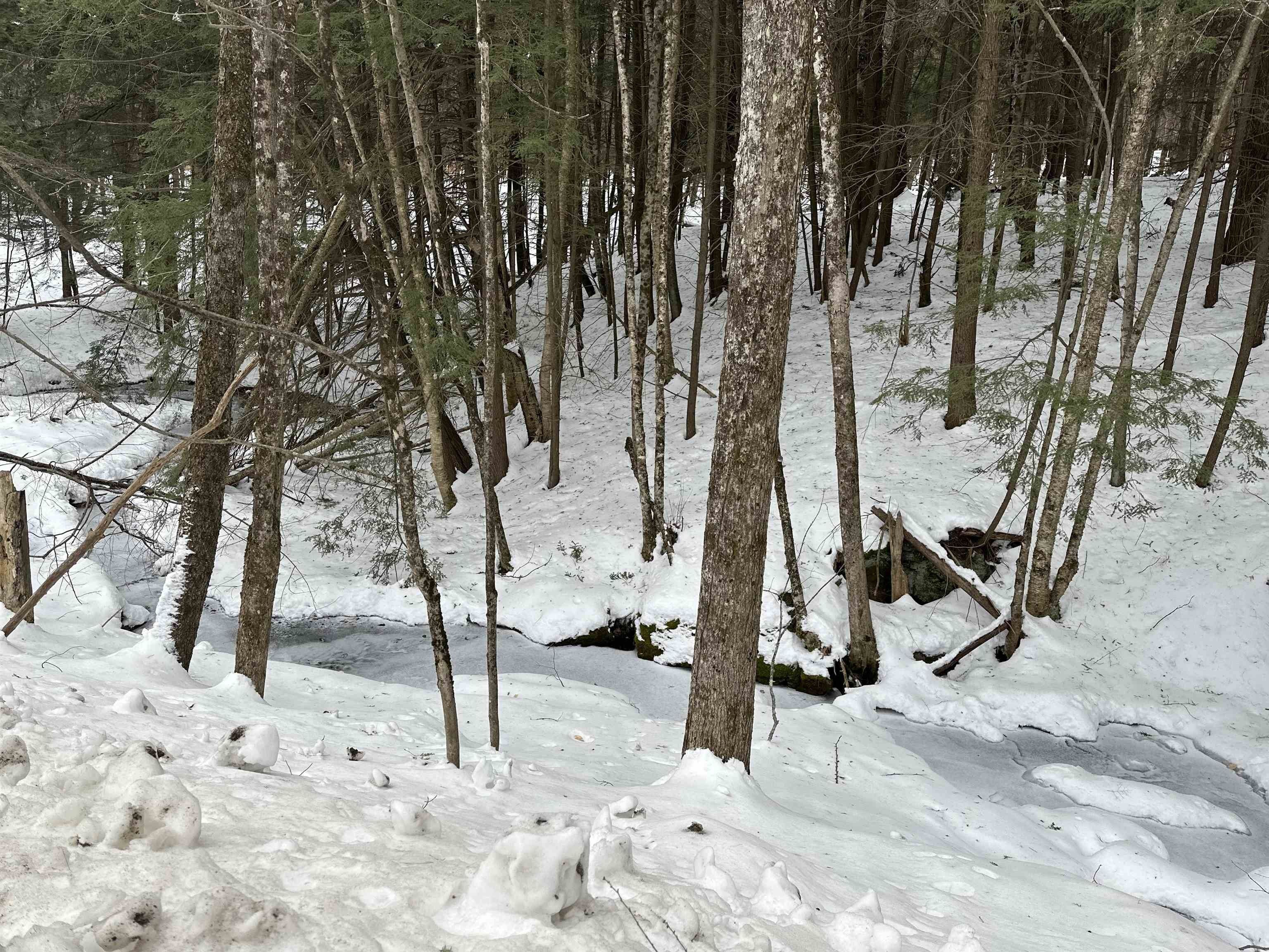 19.63 Acres, 0 Weeden Hill Road, Brownsville, VT 05037 Land and Farm