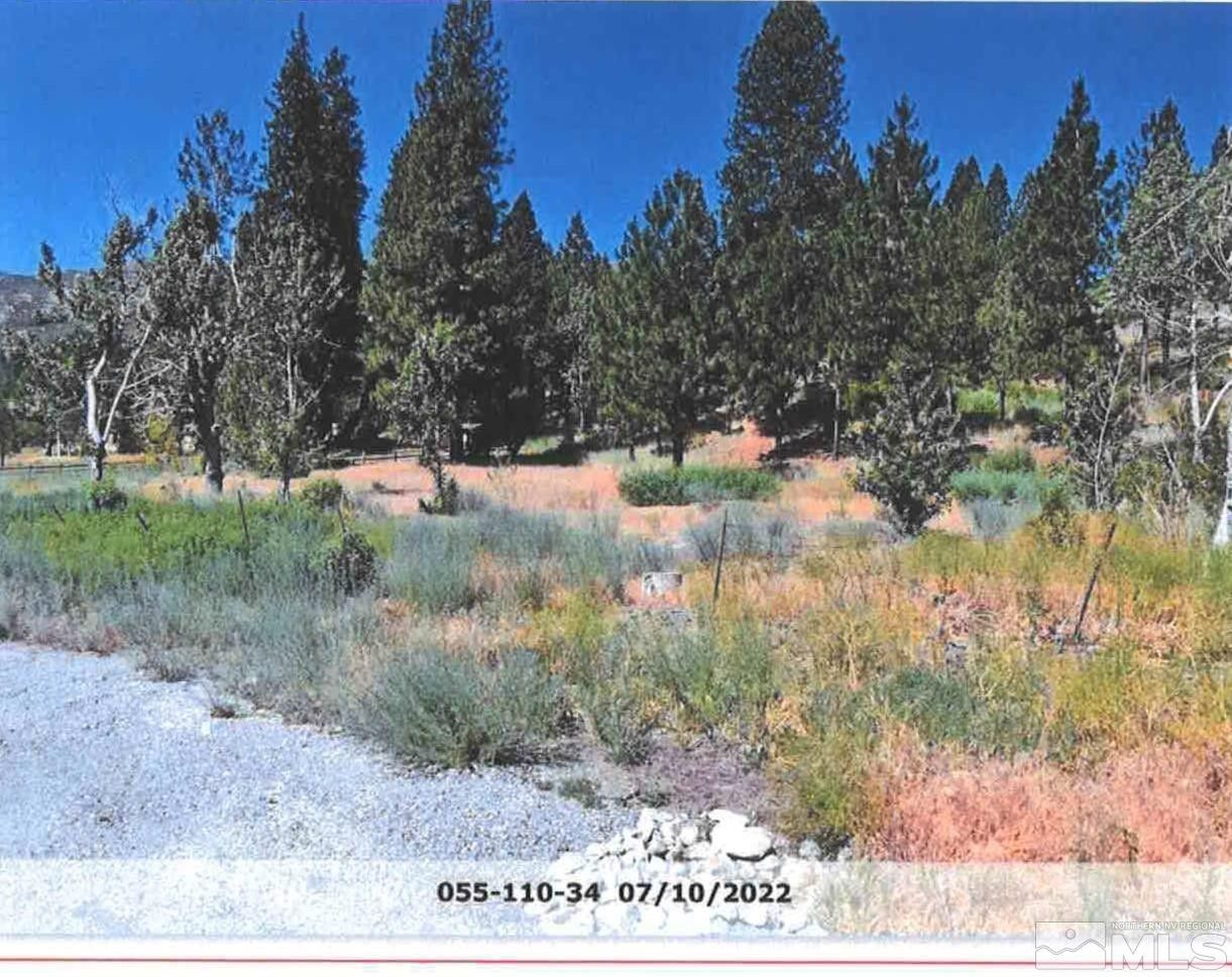 5 Acres, 6105 Franktown Road, Reno, NV 89704 Land and Farm