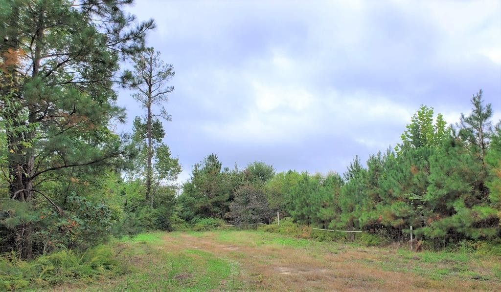 169 Acres, Gregory Mill Lane, Amelia, VA 23002 Land and Farm