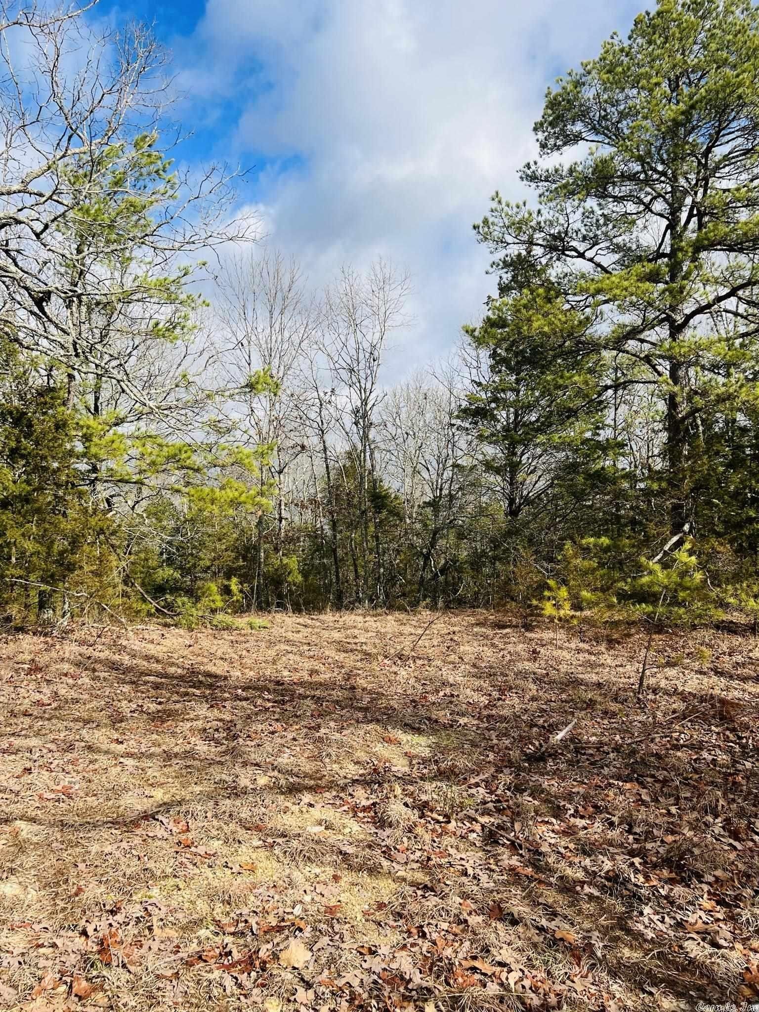 10 Acres, 10A Jumbo Road, Melbourne, AR 72556 Land and Farm