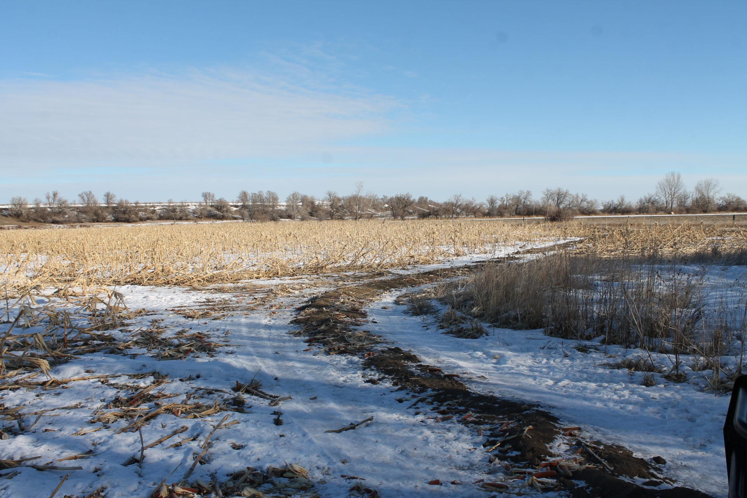 TBD County Road 110, Sidney, MT 59207 Land and Farm