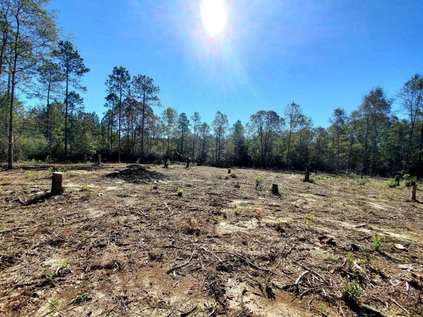 10.01 Acres, 6221 County Line Rd, Milton, FL 32564 Land and Farm