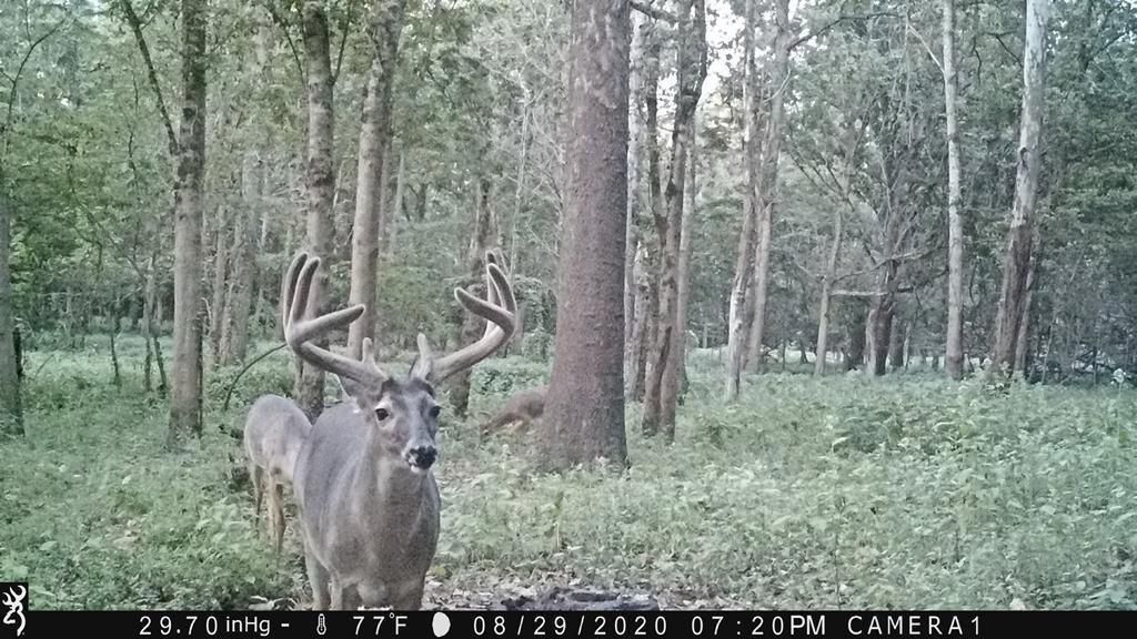 201 Hodge Road, Tallulah, LA 71336 Land and Farm