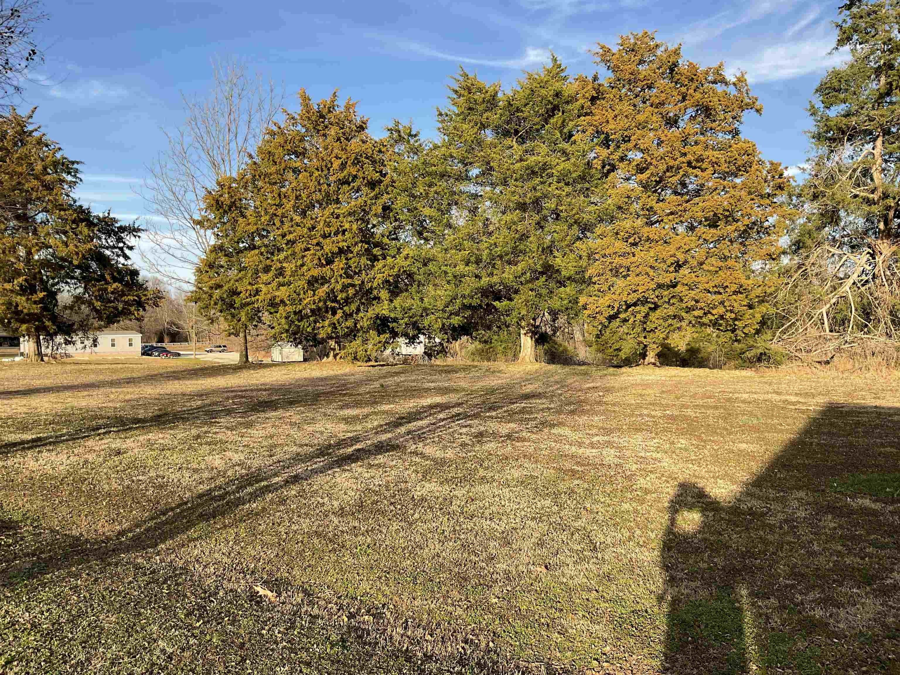 29.7 Acres, 2424 Old Jackson Rd, Bells, TN 38006 Land and Farm