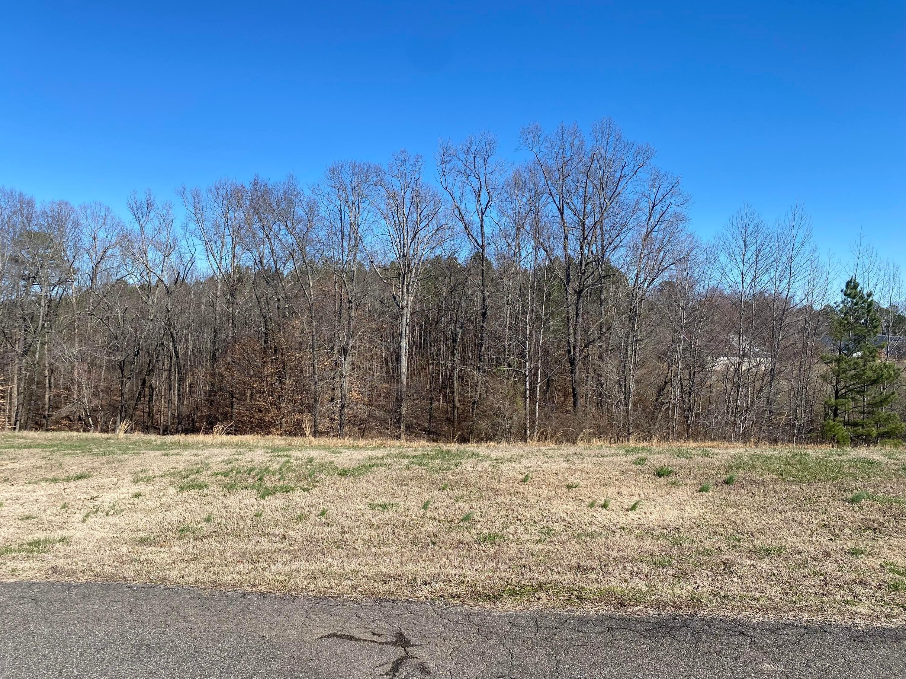 0.67 Acres, LOT 26 WESTRIDGE DR., Addison, AL 35540 Land and Farm