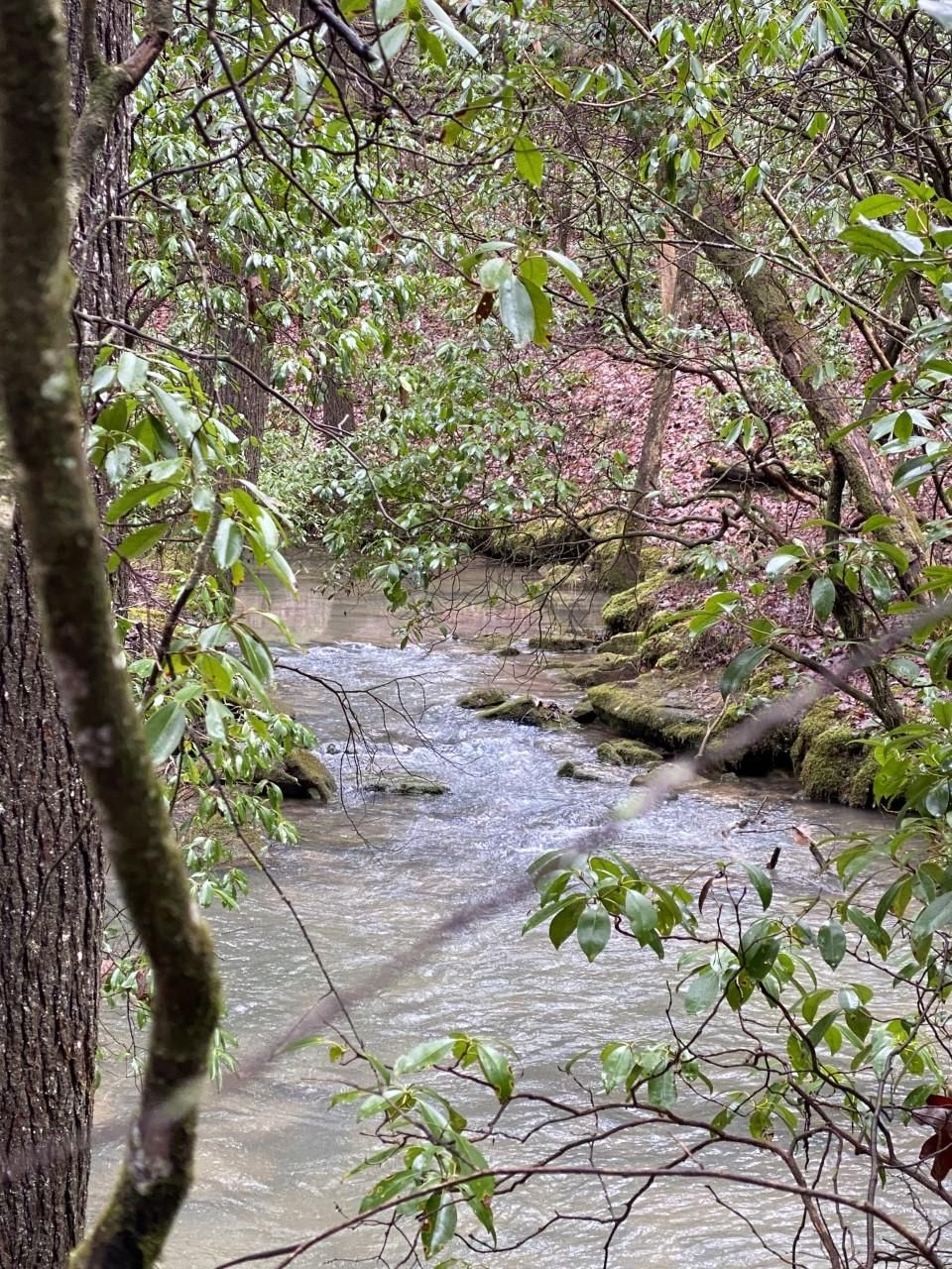 Lot 9 Thomas Springs Road, Crossville, TN 38572 MLS 1369008 Land and Farm