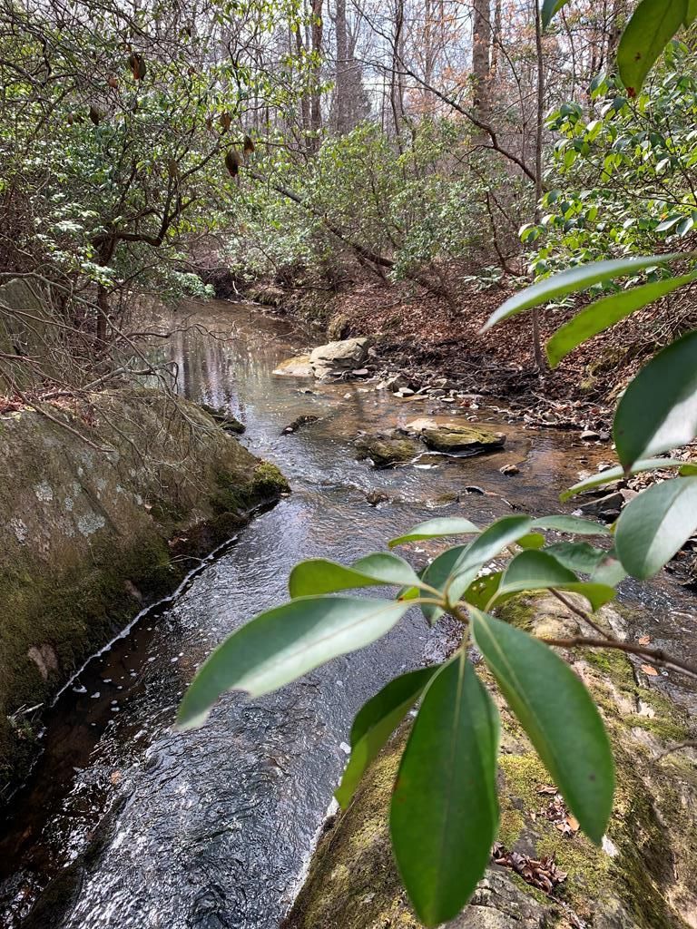 Walkers Lane, Chase City, VA 23924 MLS 66956 Land and Farm