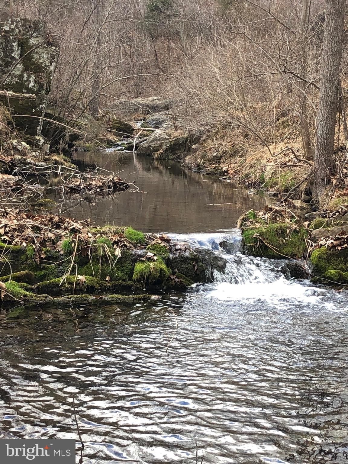 15.9 Acres, 4586 BACK MOUNTAIN ROAD, Winchester, VA 22602 Land and Farm