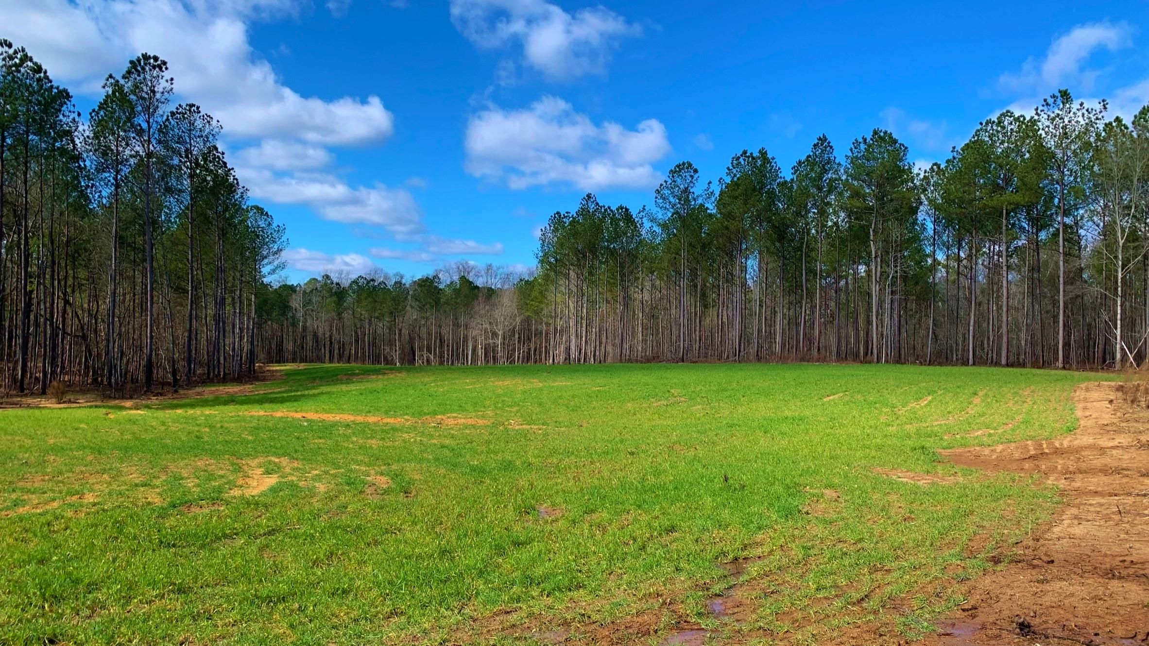 155.21 Acres, Greensboro, GA 30642 Land and Farm