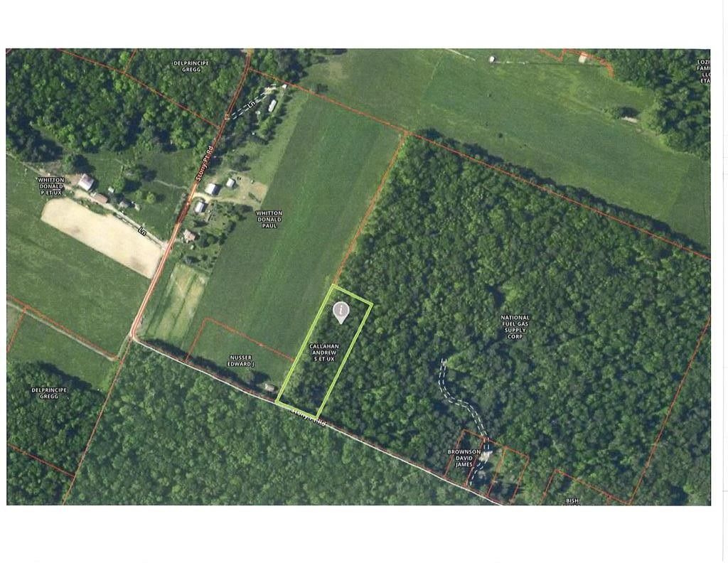 3 Acres, whitton Lane, Marienville, PA 16239 Land and Farm