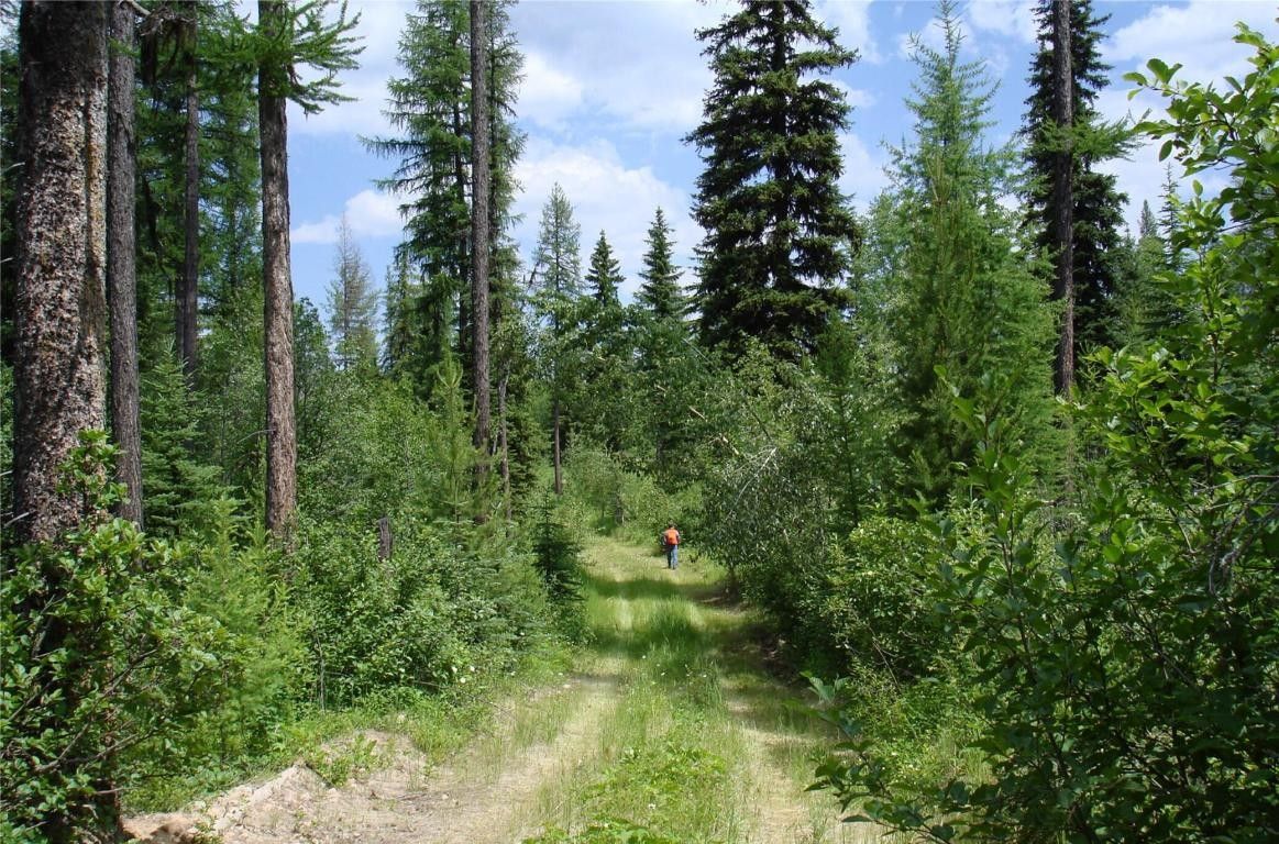 111.06 Acres, Nhn Trail Creek Road, Polebridge, MT 59928 Land and Farm