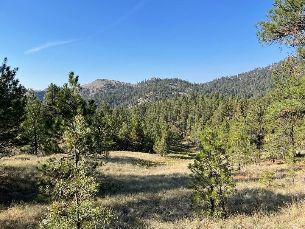 6.37 Acres, Mk 160 Upper Sawmill Creek Road, Cascade, MT 59421 Land and Farm