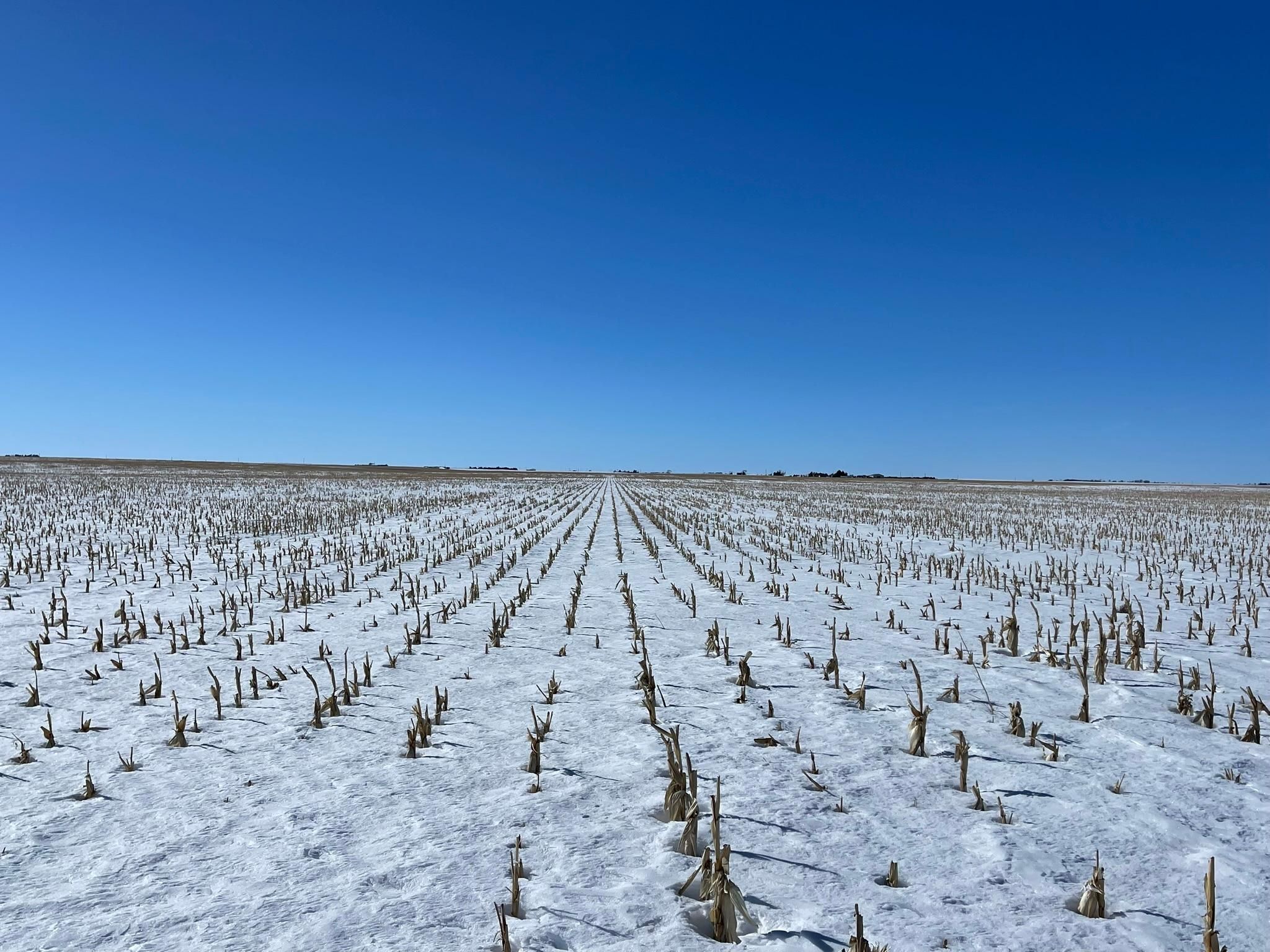 1,207 Acres, Haxtun, CO 80731 Land and Farm