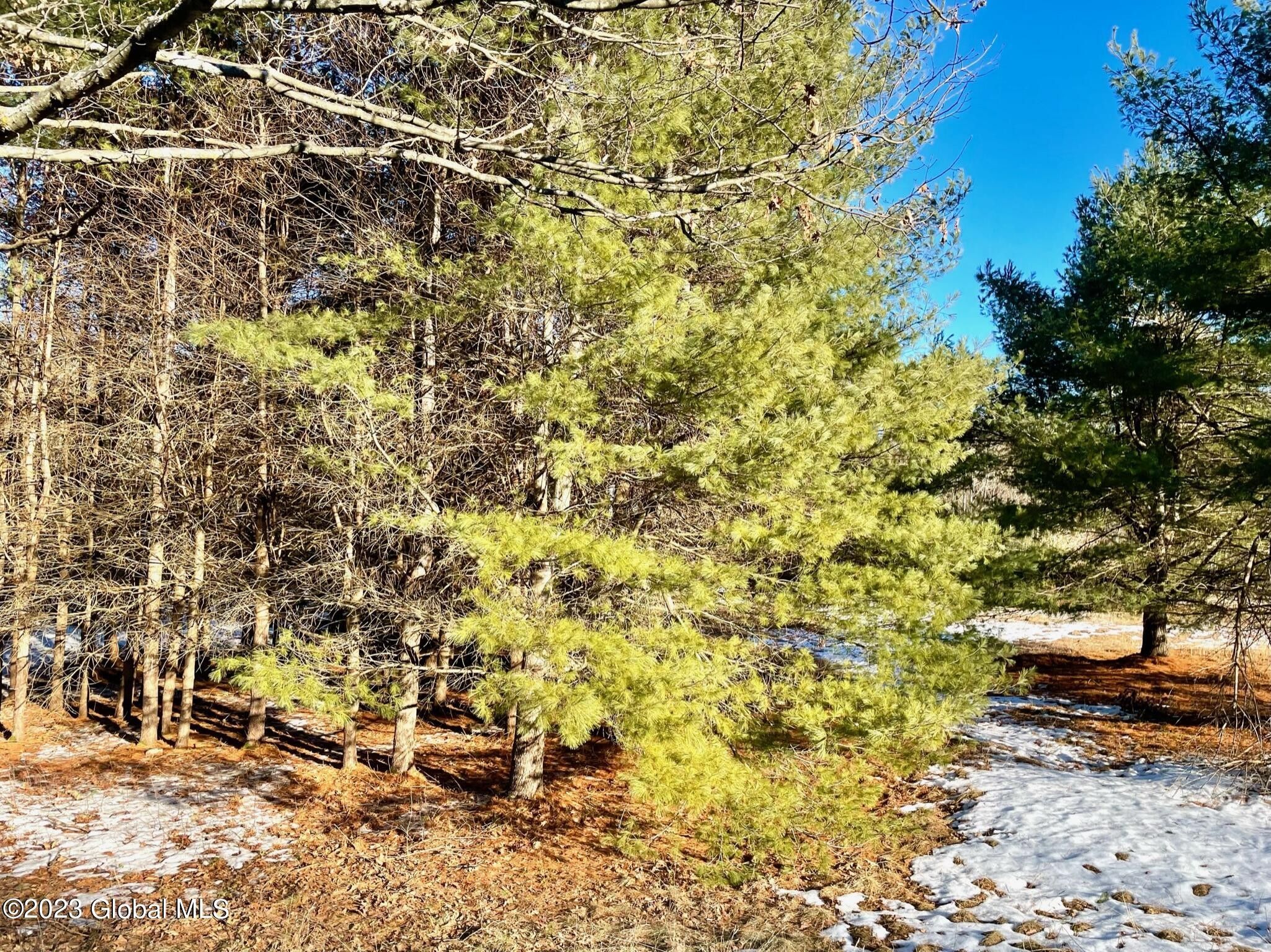 3.44 Acres, 36 Wall Street, Corinth, NY 12822 Land and Farm