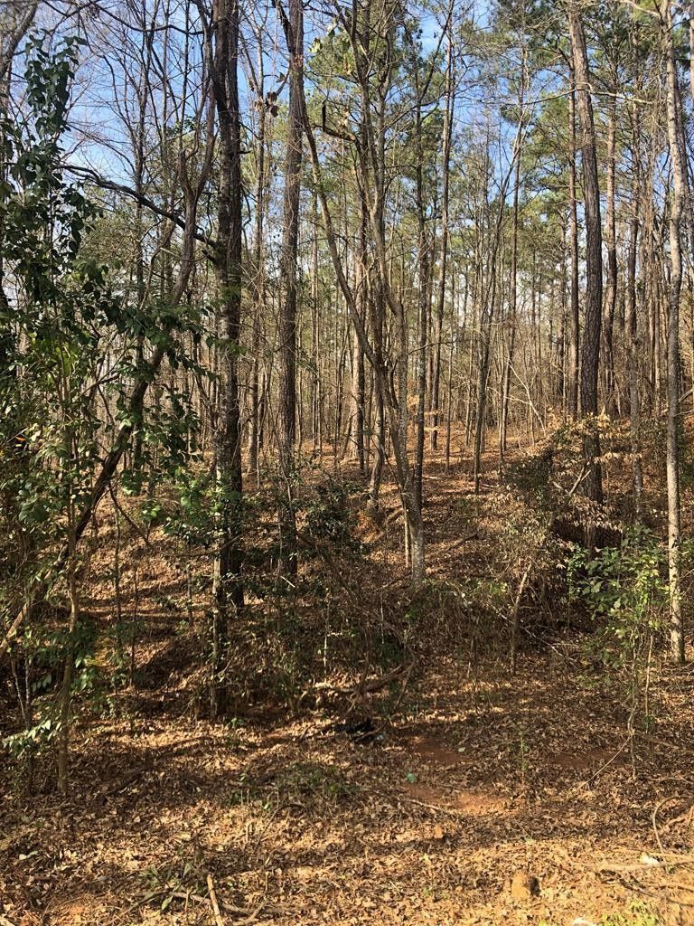 1.45 Acres, 438 Lake Laurel Rd, Milledgeville, GA 31061 Land and Farm