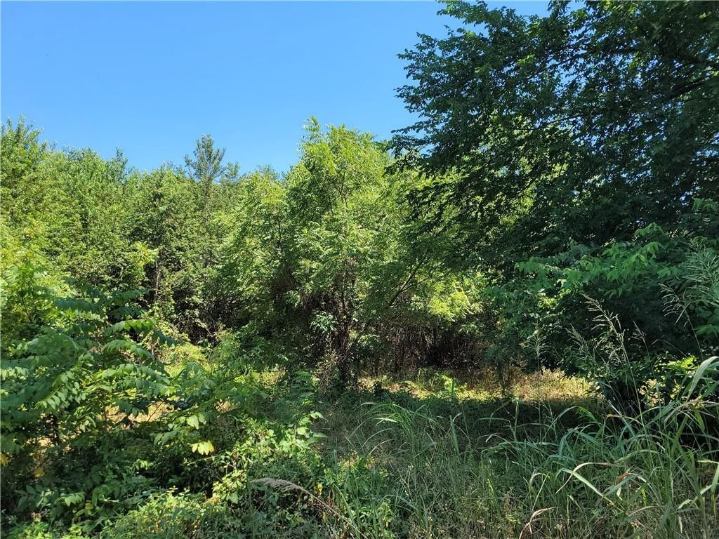 5 Acres, Tract D North WC 678 RD, Summers, AR 72769 Land and Farm