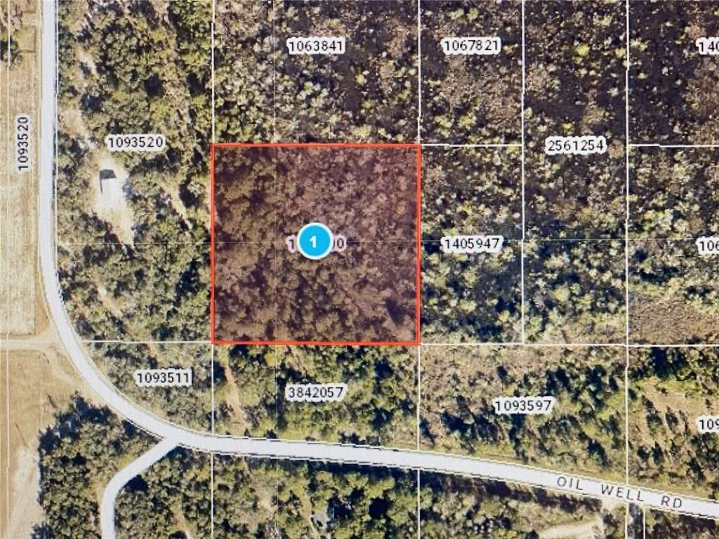 2.5 Acres, OIL WELL ROAD, Clermont, FL 34714 Land and Farm