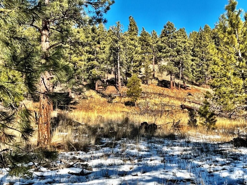 3.86 Acres, Tbd Clancy Creek Road, Clancy, MT 59634 Land and Farm