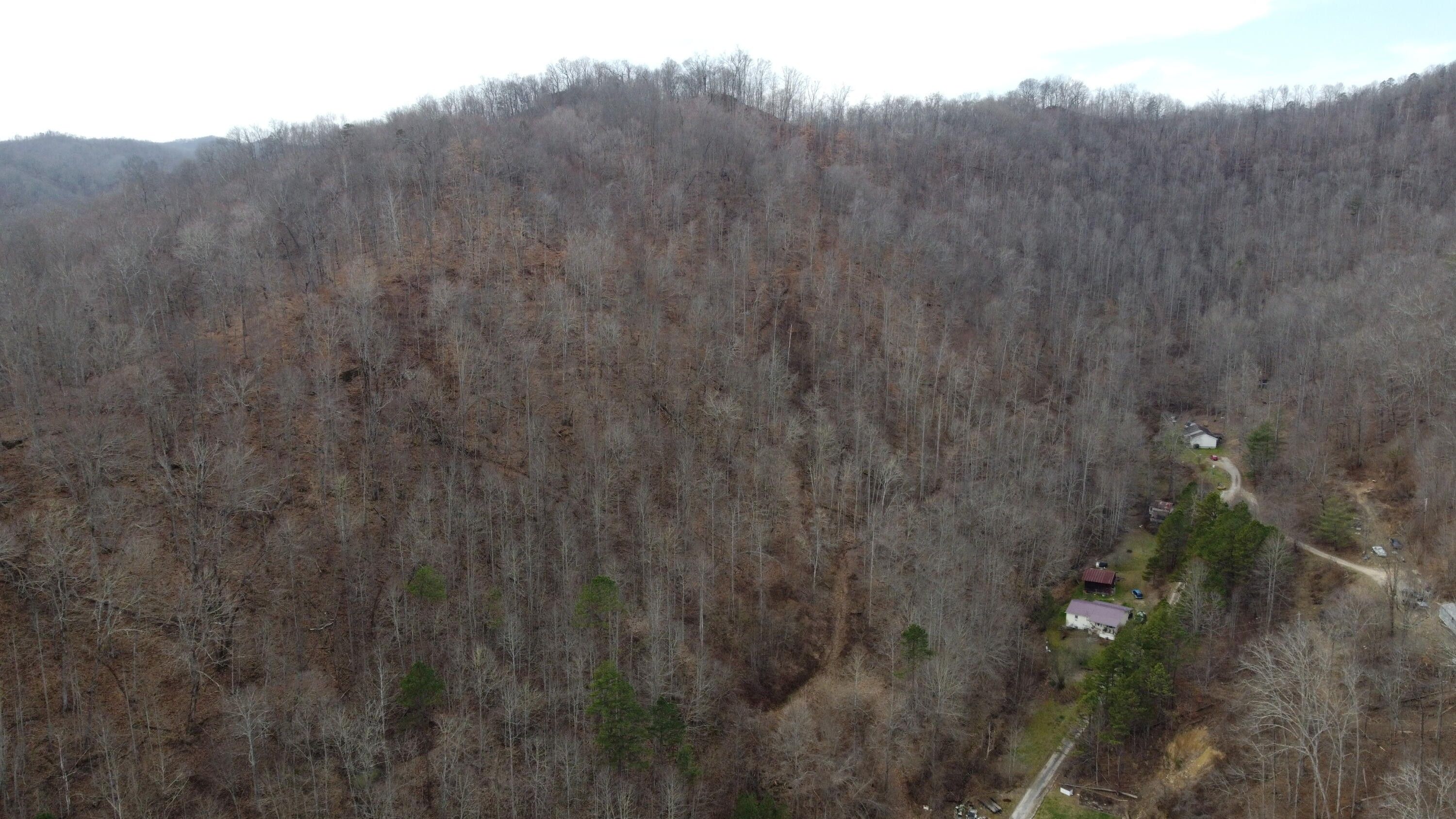 30 Acres, 271 Blue Bird Lane, Hyden, KY 41749 Land and Farm